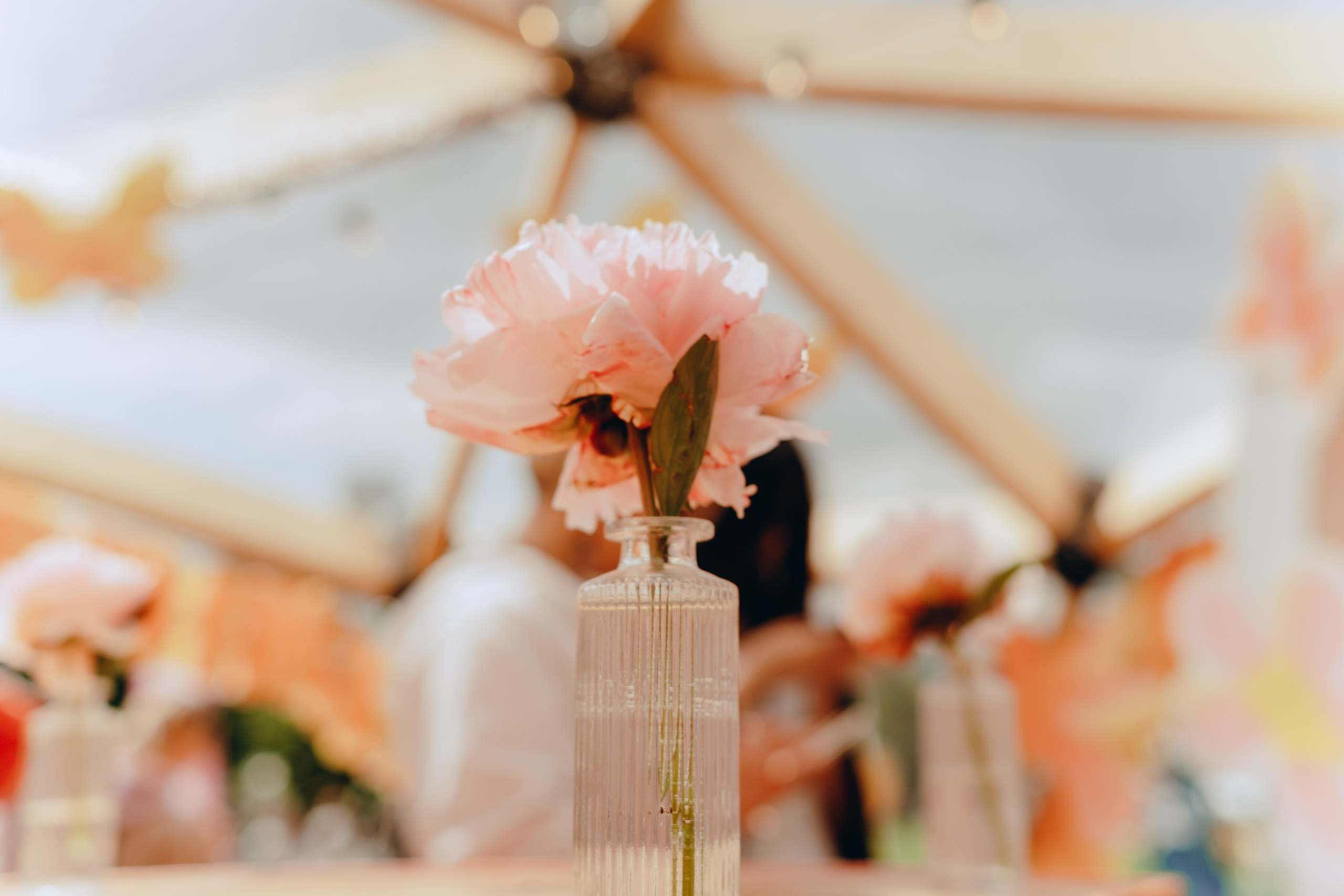 XI Международный день Йоги в Москве. Фотограф Аннё| Москва