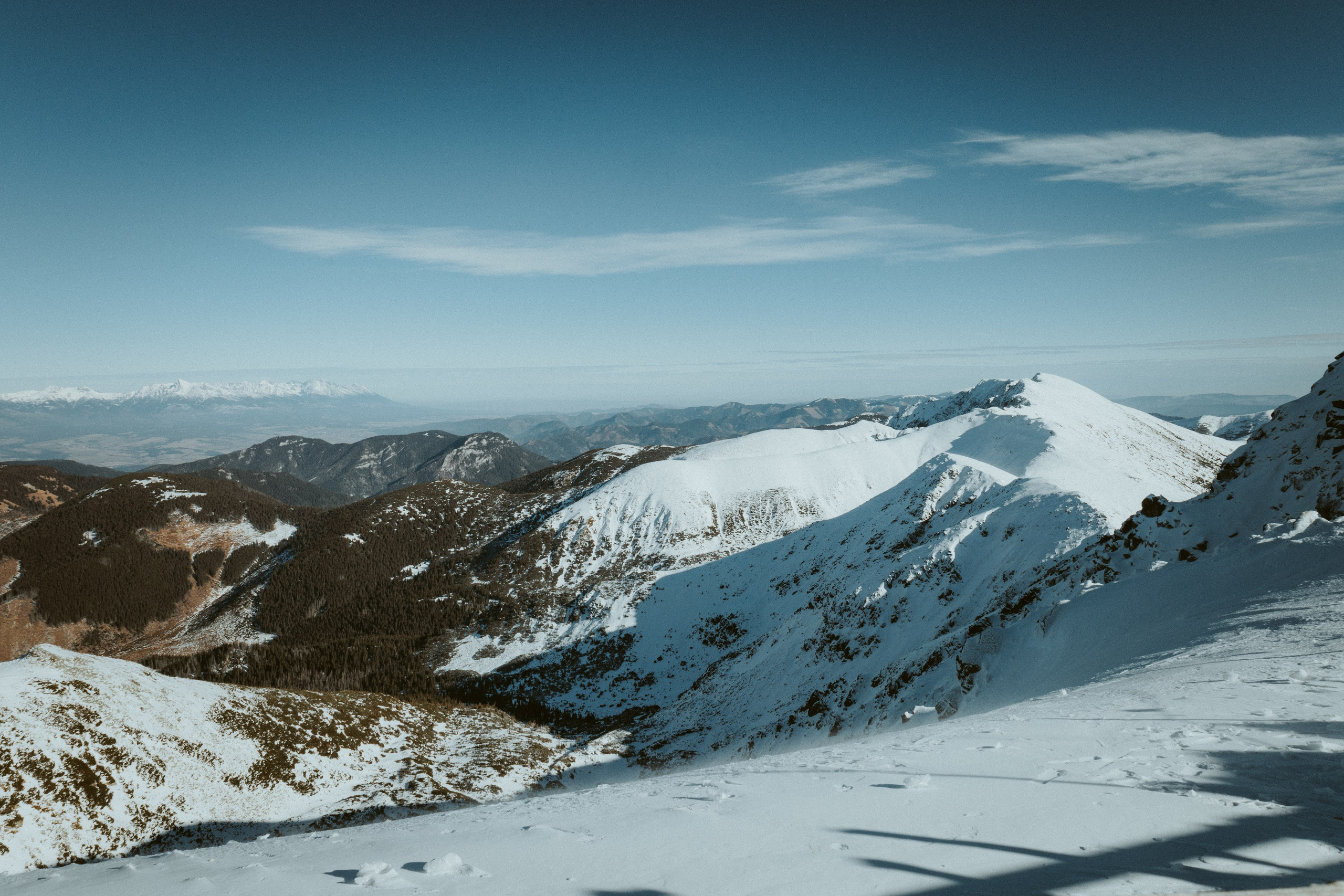 Лыжи 2025. Фотограф Владислав Воронович