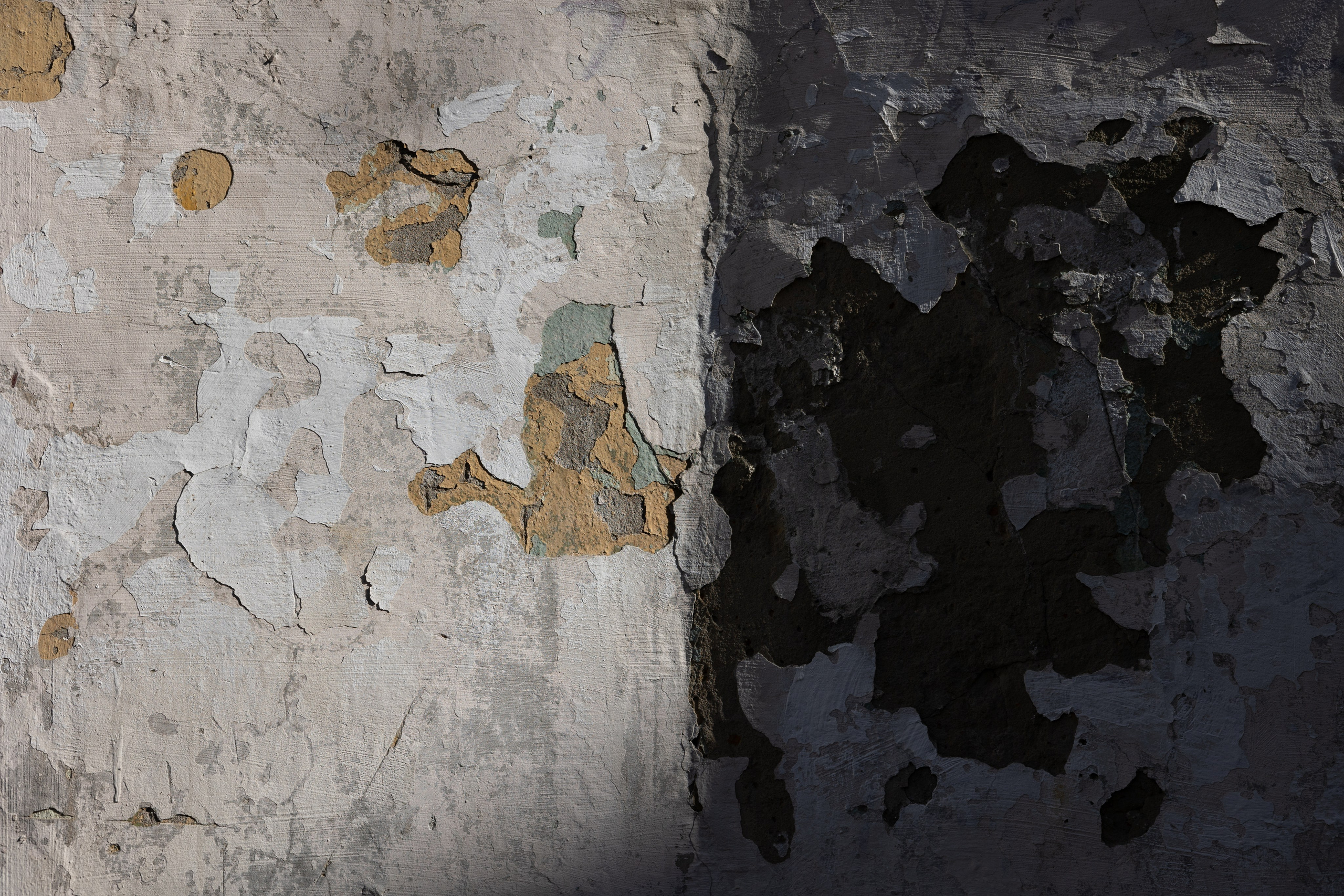 Art prints. Фотограф алина стерхова, алина стерхова фотограф, фотограф москва