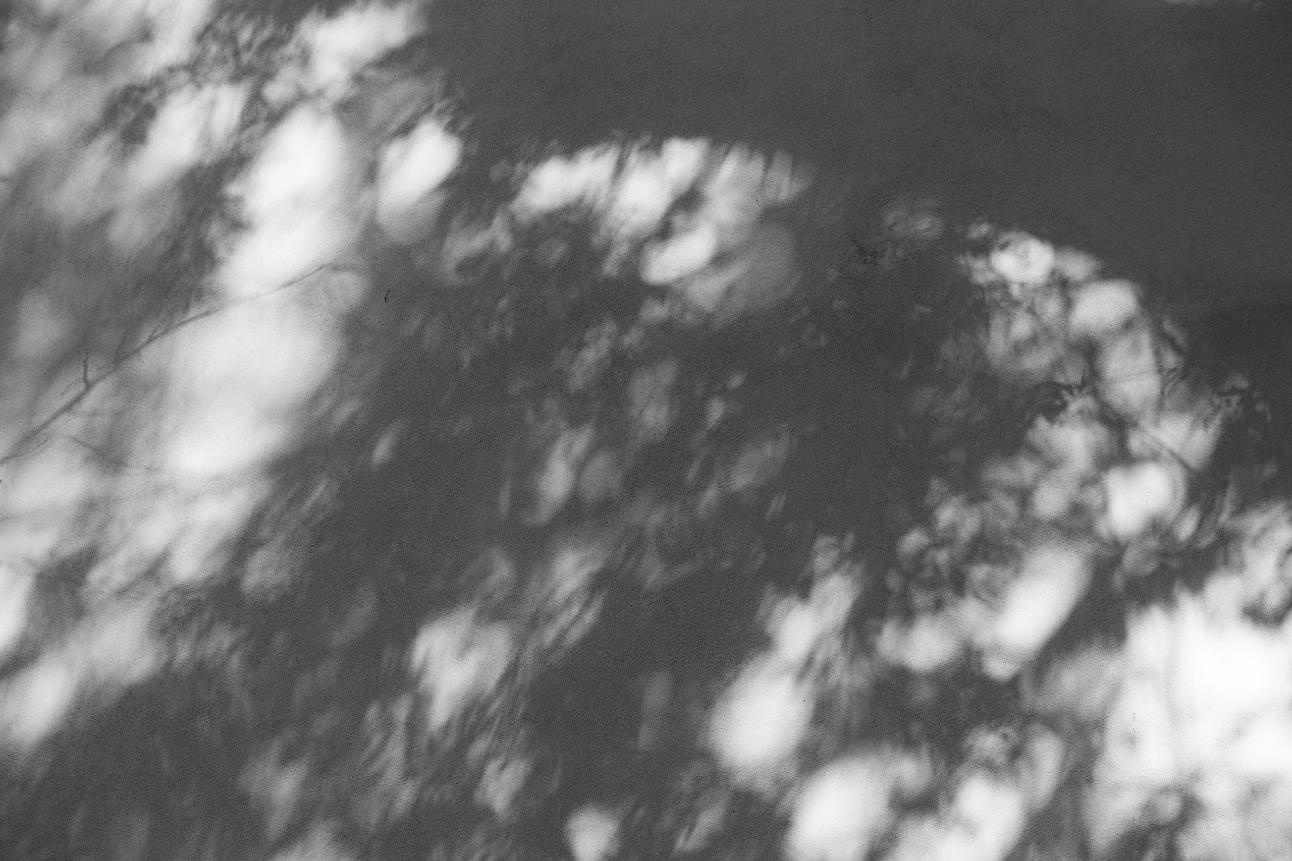 Art prints. Фотограф алина стерхова, алина стерхова фотограф, фотограф москва