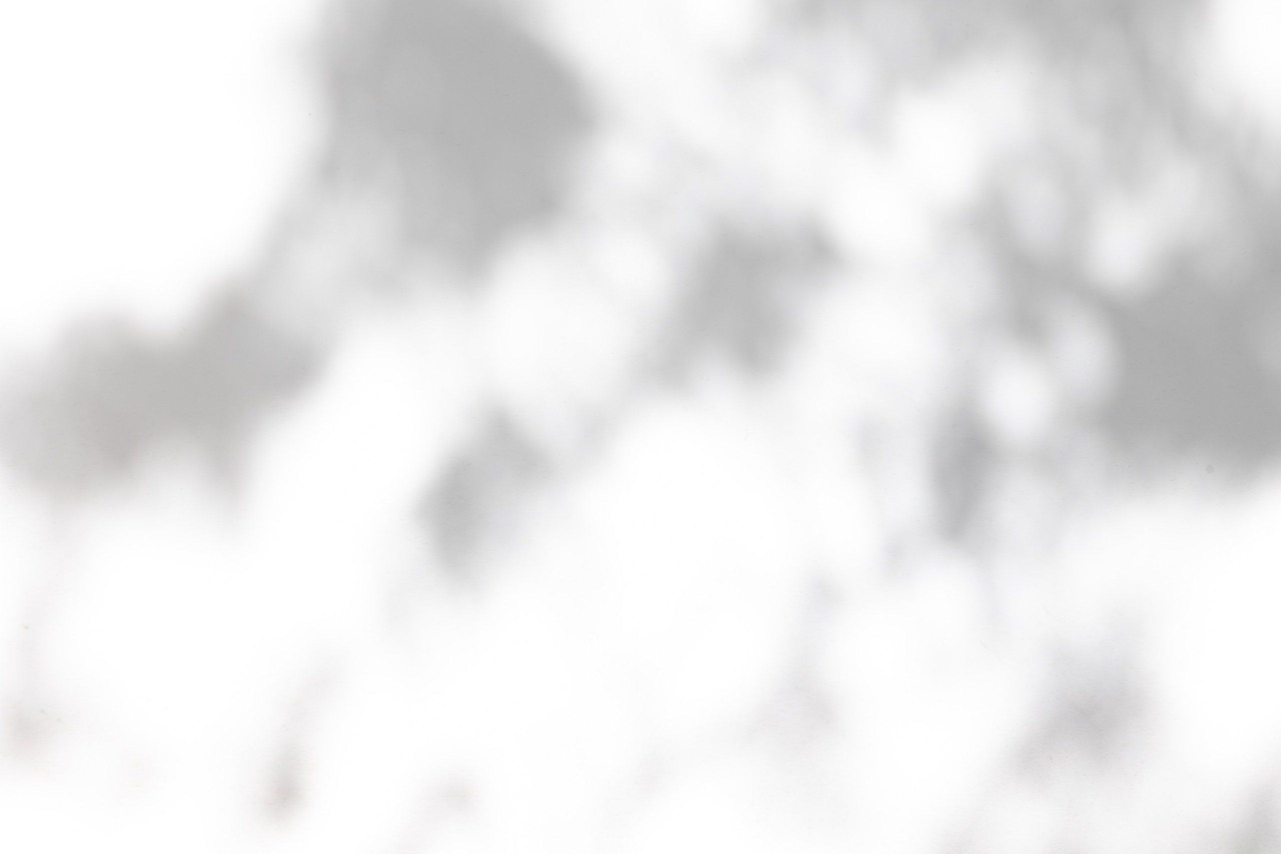 Art prints. Фотограф алина стерхова, алина стерхова фотограф, фотограф москва