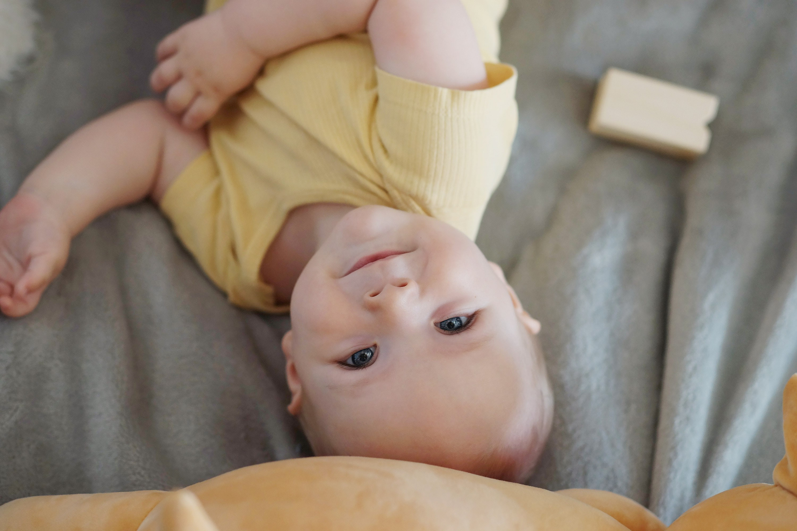 Семейная съёмка. Студийная. Семейный фотограф г. Новокузнецк Юлия Машникова