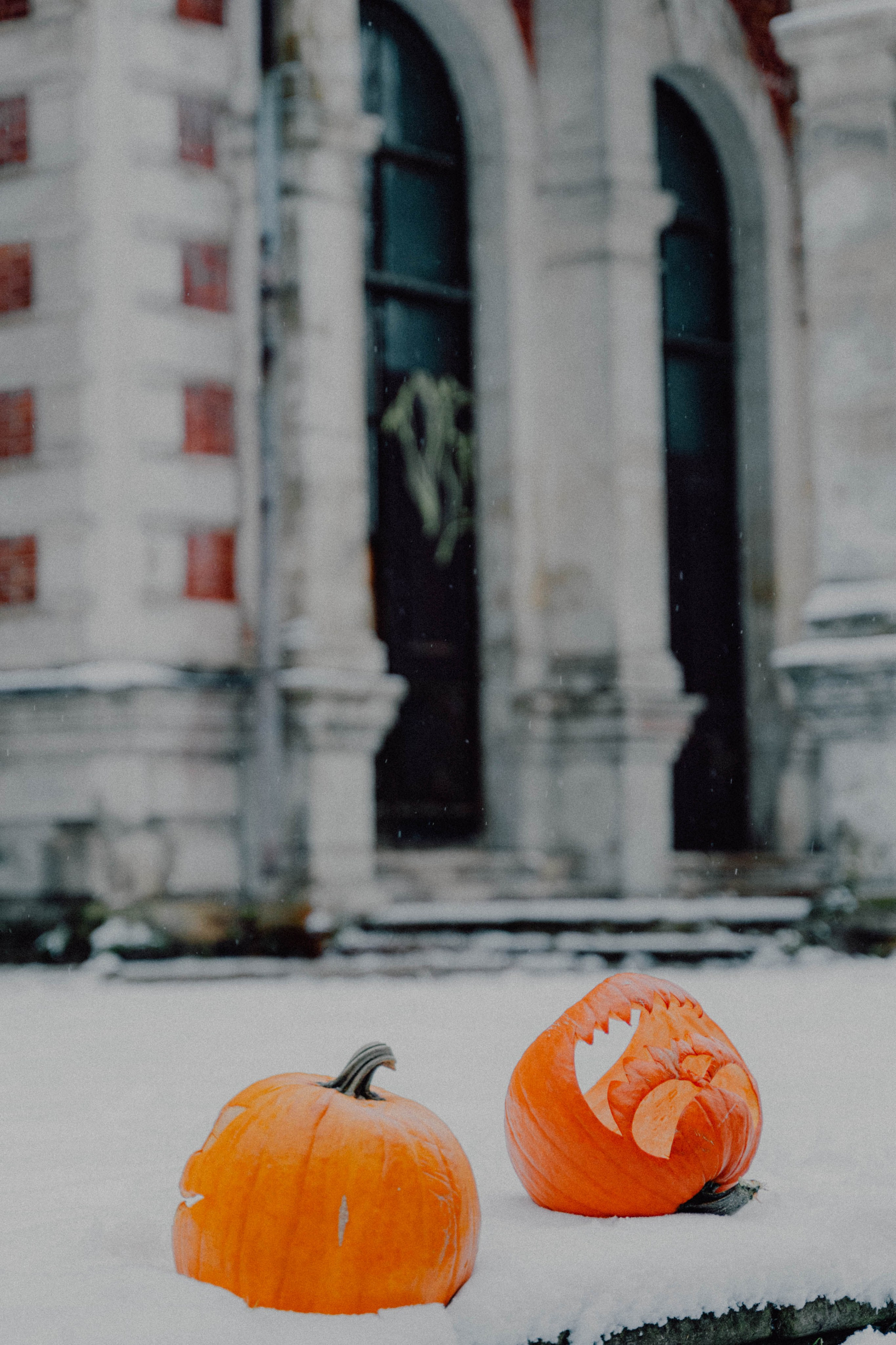 Pumpkin spice. Портретный фотограф в Москве Эмиль Халиков