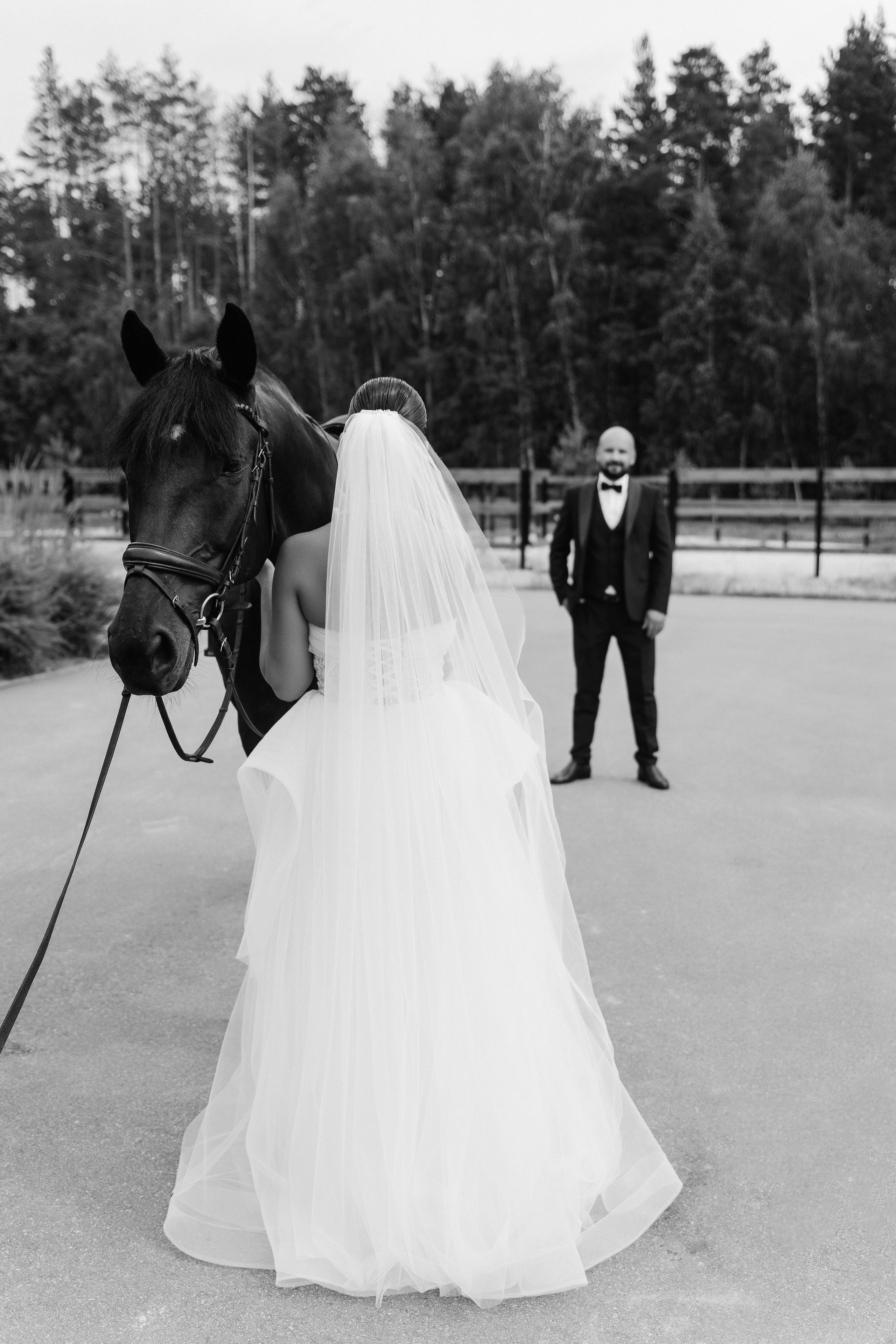 Юля и Михаил. Дмитрий Зайцев свадебный фотограф Тамбов