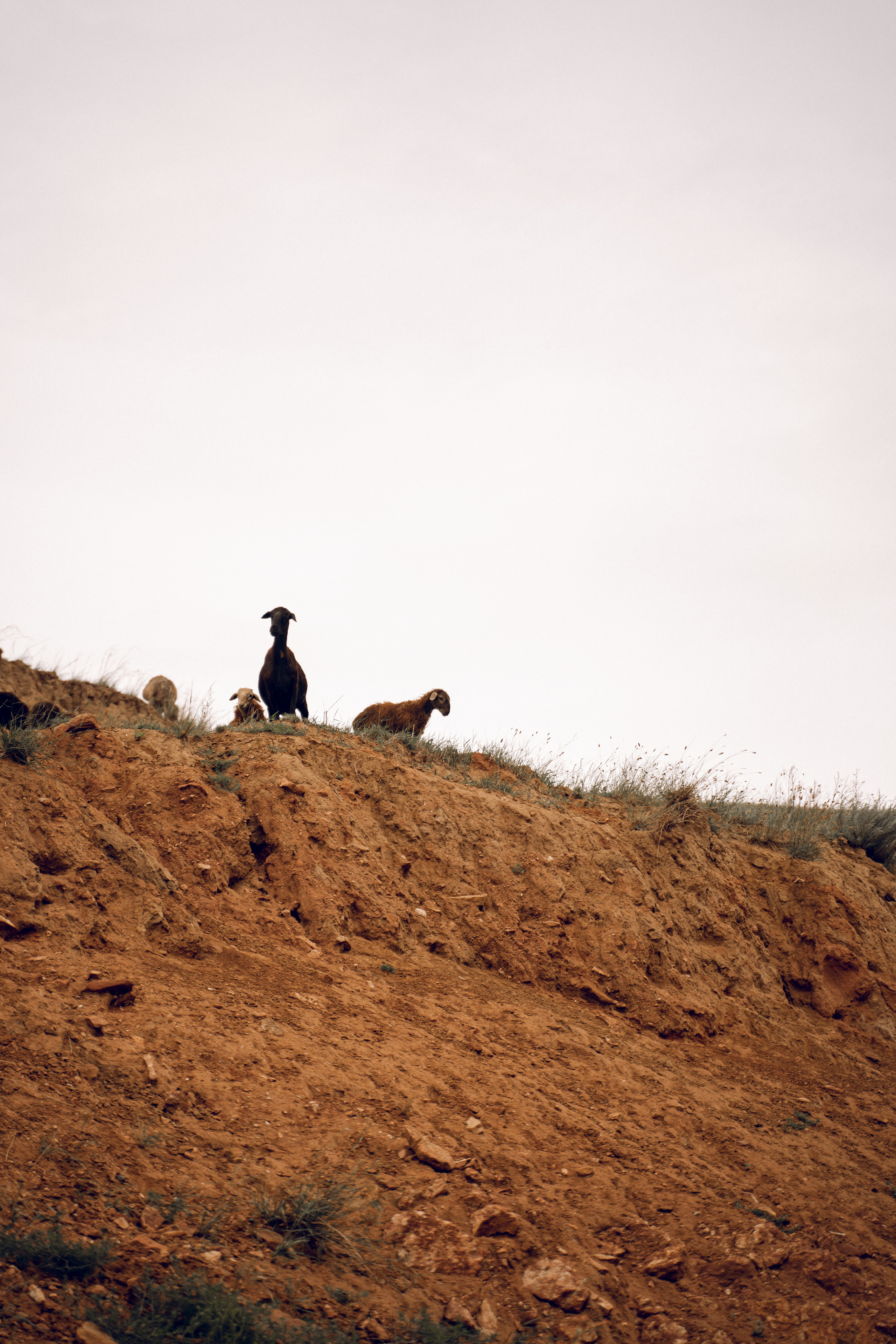 Рита и Сергей. Фотограф Ксения Калюжная