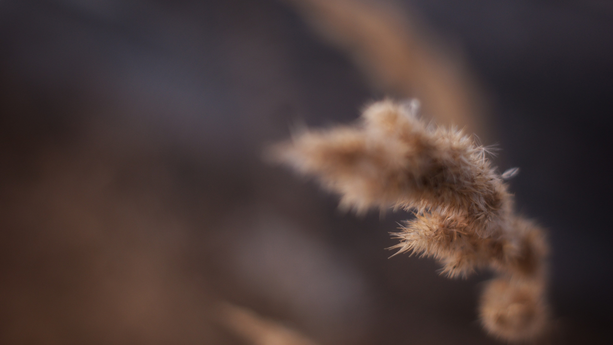 Этот прекрасный мир