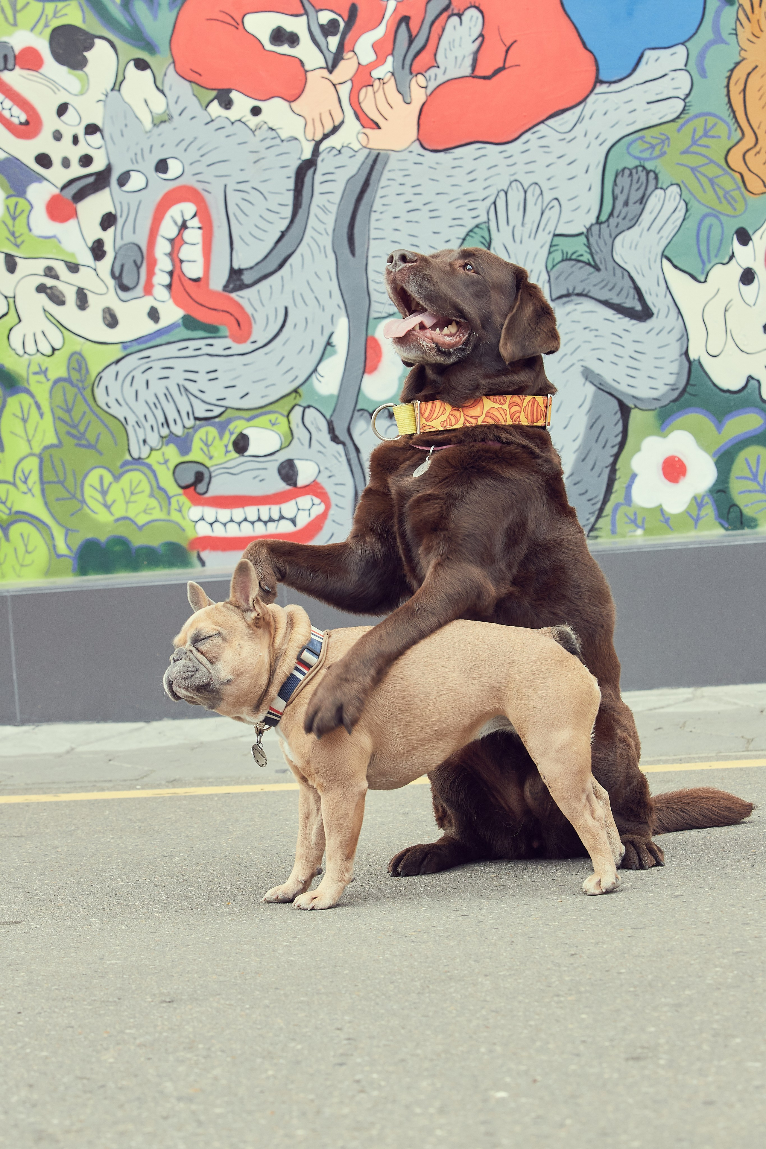 Портретная фотосессия Софы и питомцев. Екатерина Осипова — профессиональный фотограф в Москве