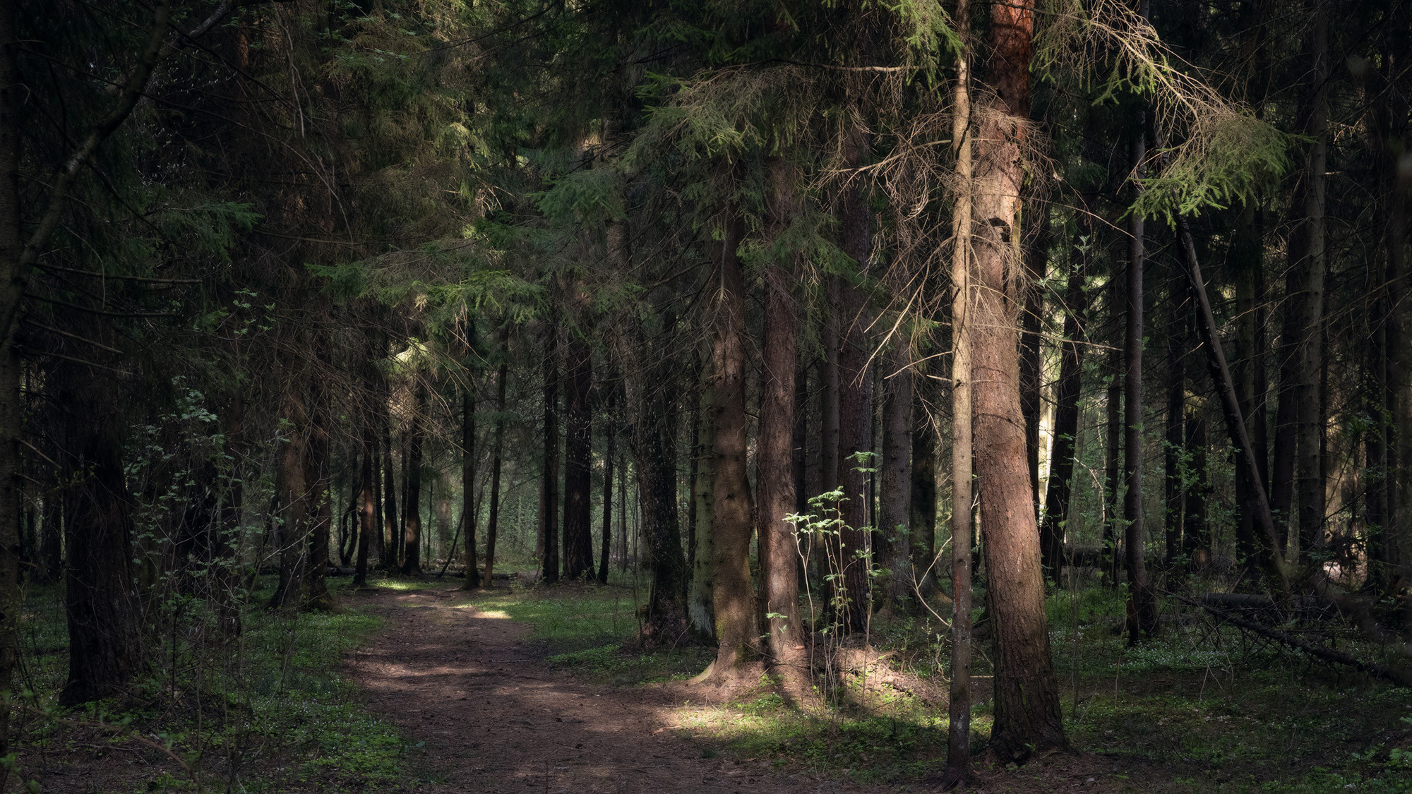 Пейзаж, природа. Портретный фотограф Станислав Жуков | Москва