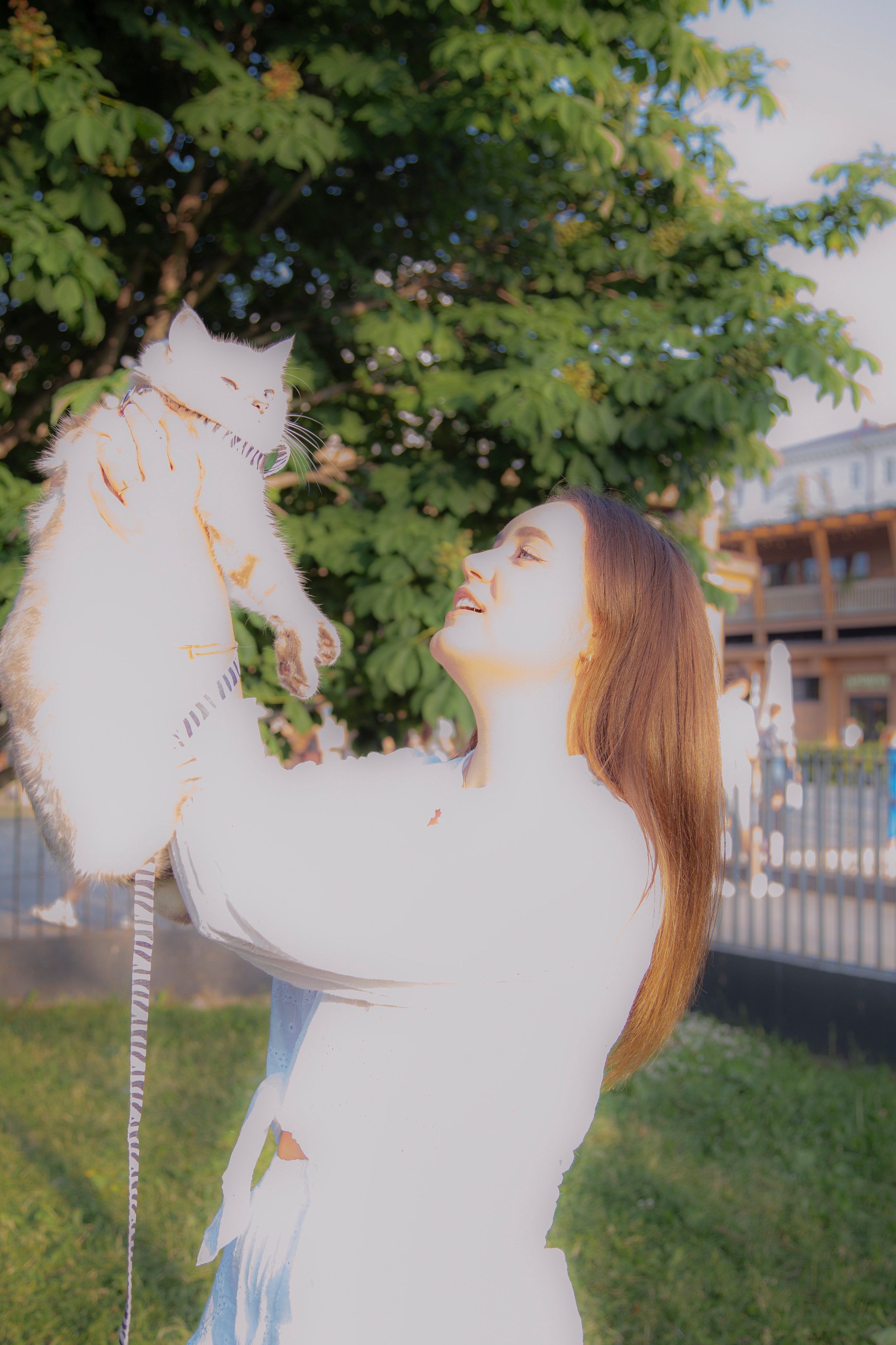 В моде тёплые коты. Репортажный и портретный фотограф Казань / Горячих Полина