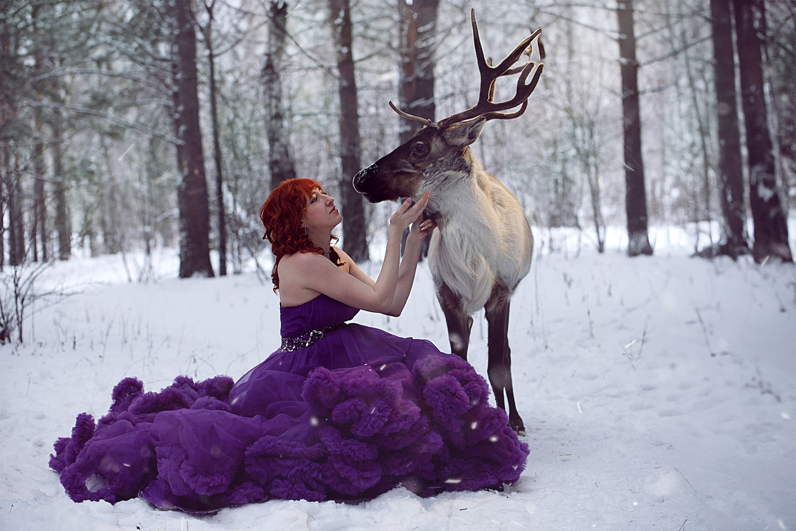 Олениха Нося 2024. Конный фотограф в Красноярске — Любовь Похабова