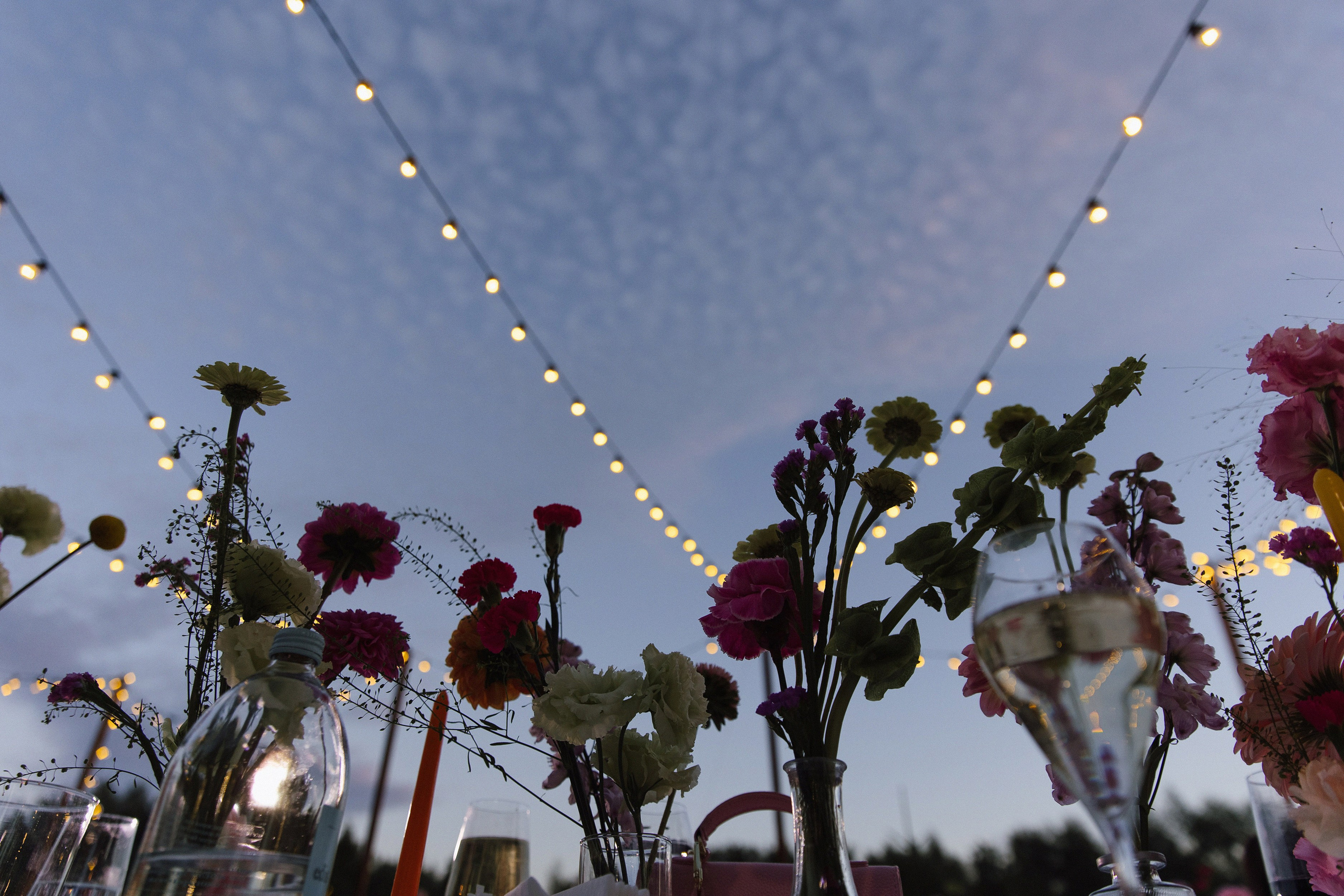 Misha | Christie. Свадебный фотограф Сергей Скрипник