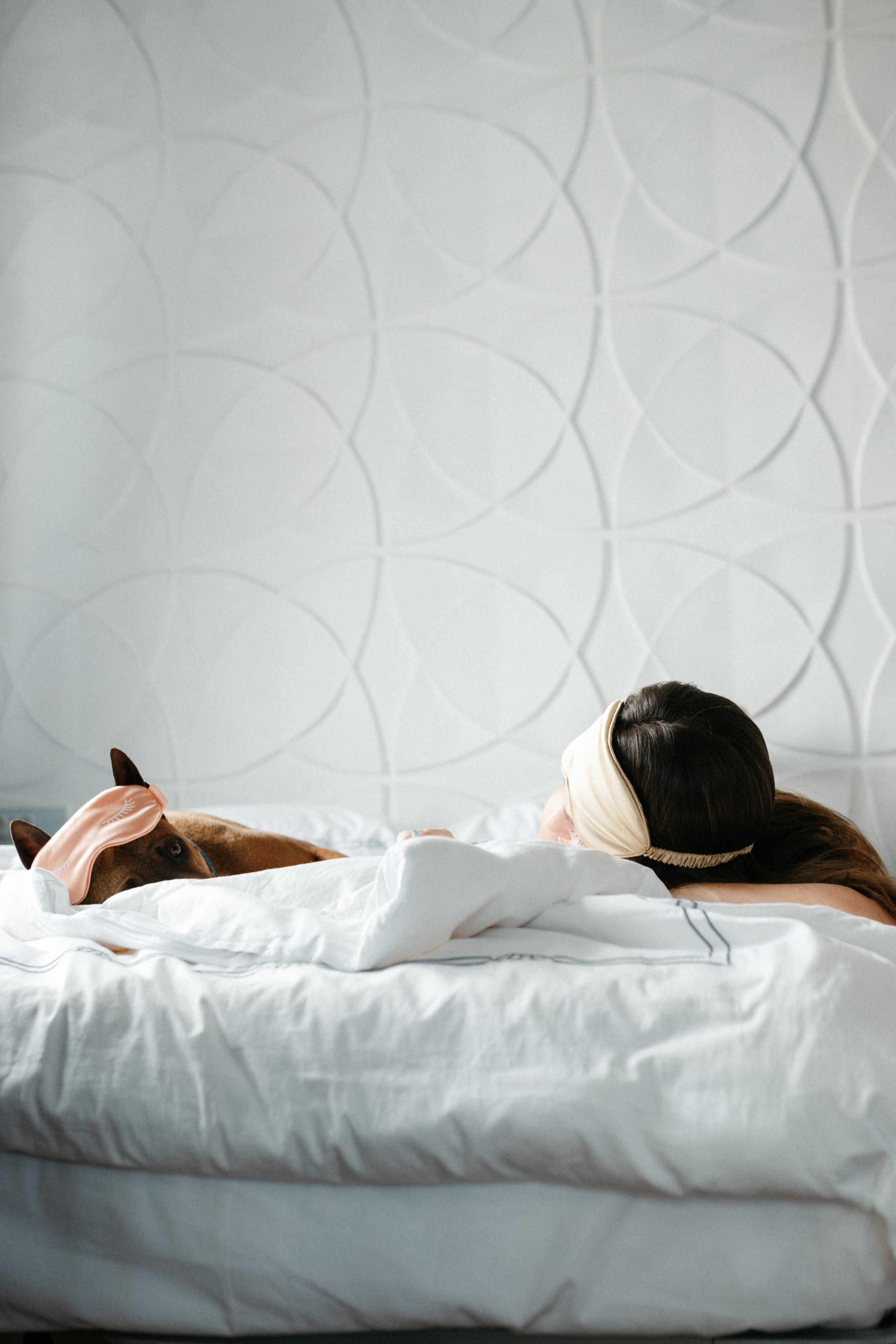 Оксана и Зевс. Фотограф анималист в Москве Ольга Агушева