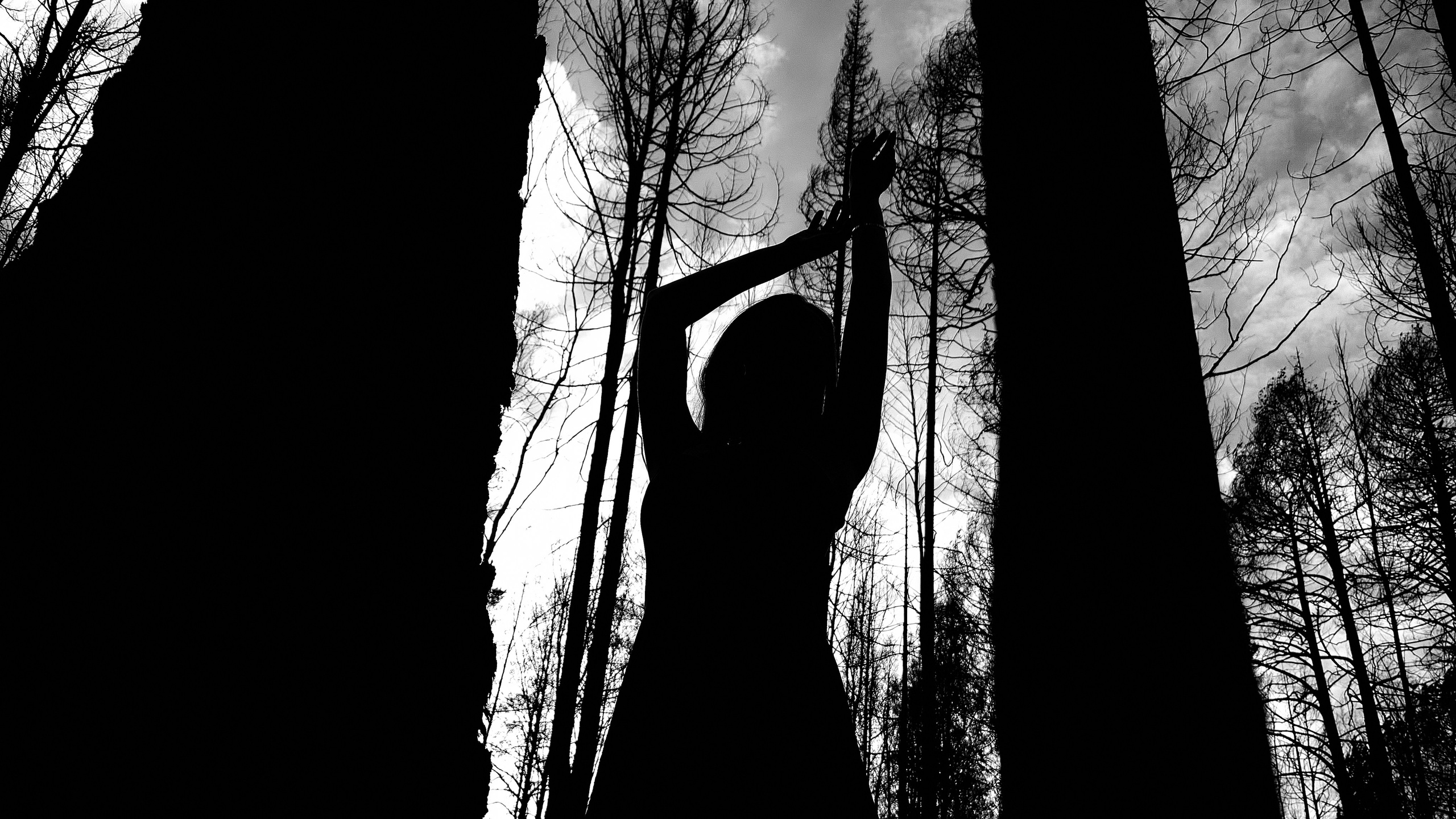 Люди. Сайт в процессе разработки