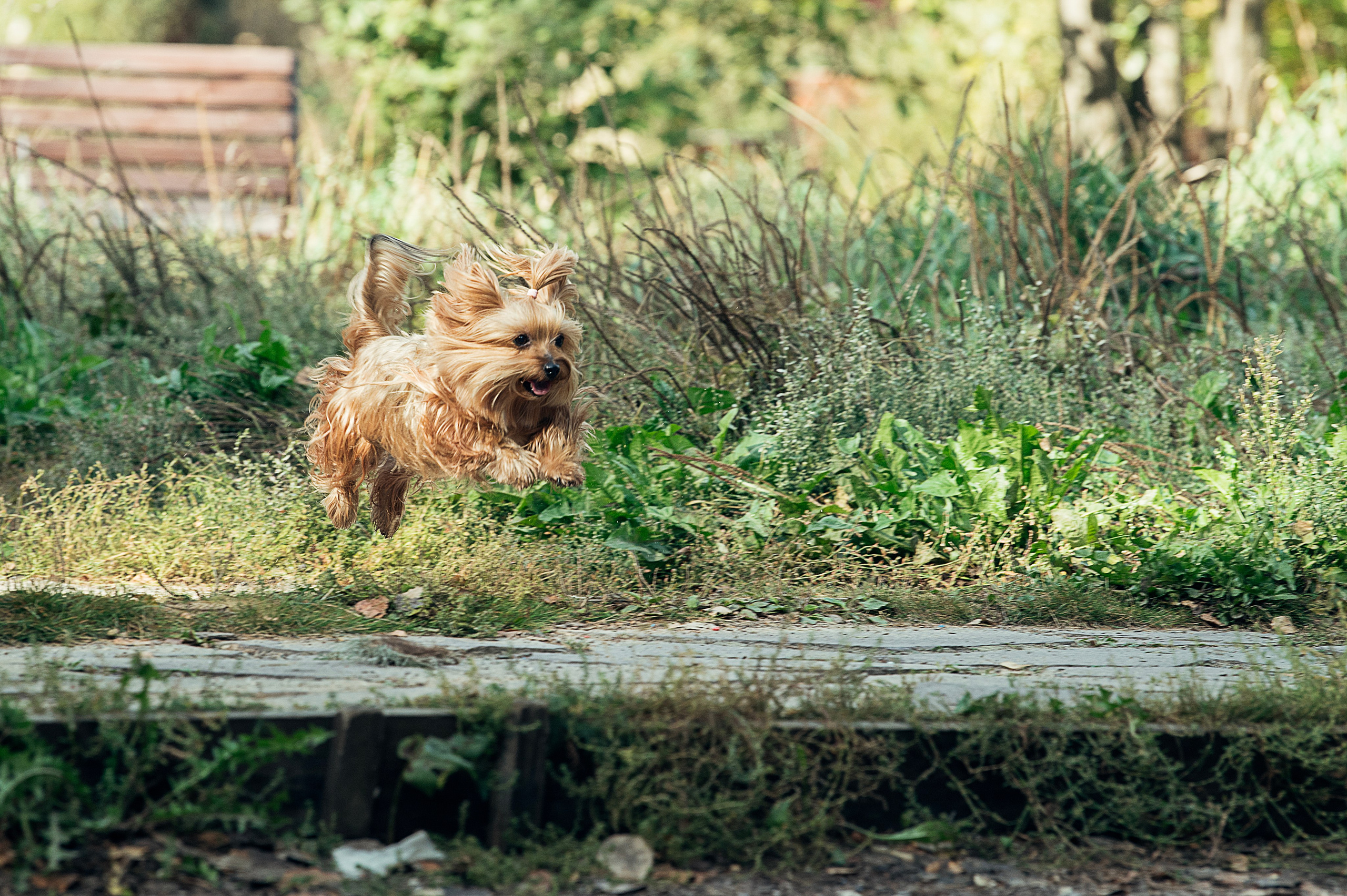 Свадебный и семейный фотограф в Москве Елена Новикова