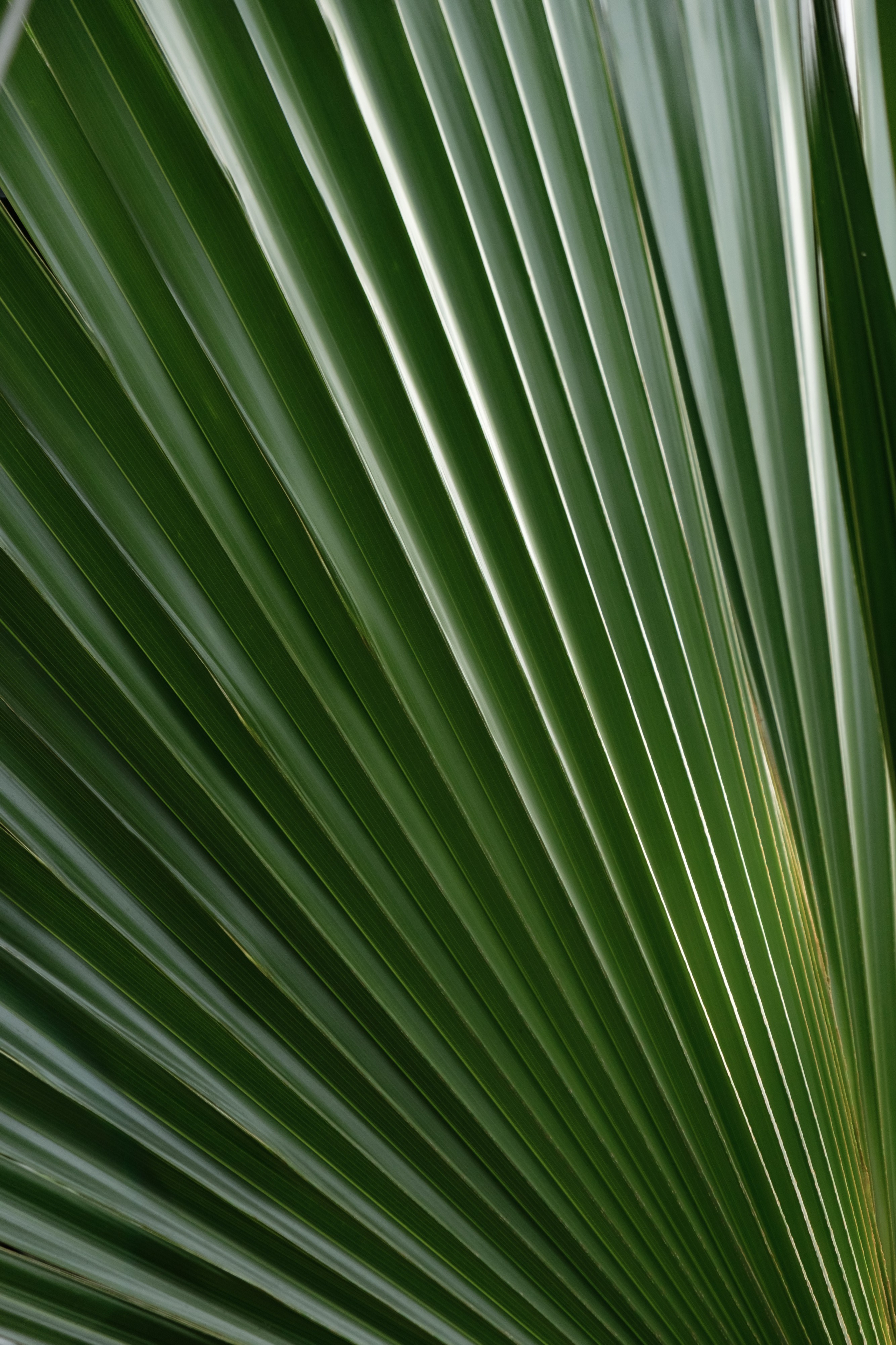 Узбекистан. Города. Фотограф Конопихин Константин