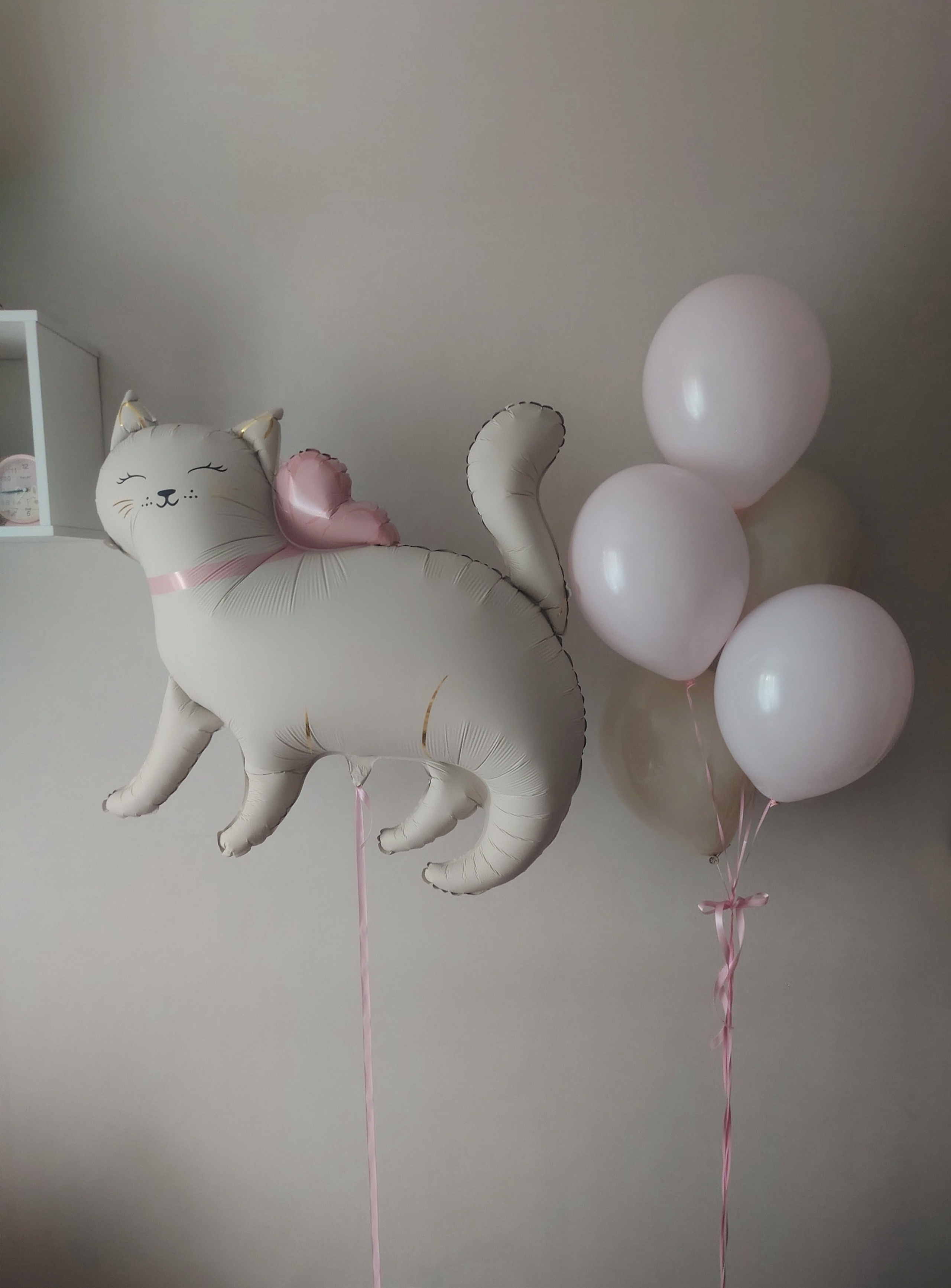 Девочке на день рождения с 4 до 17 лет. Аэродизайнер Елена Лин