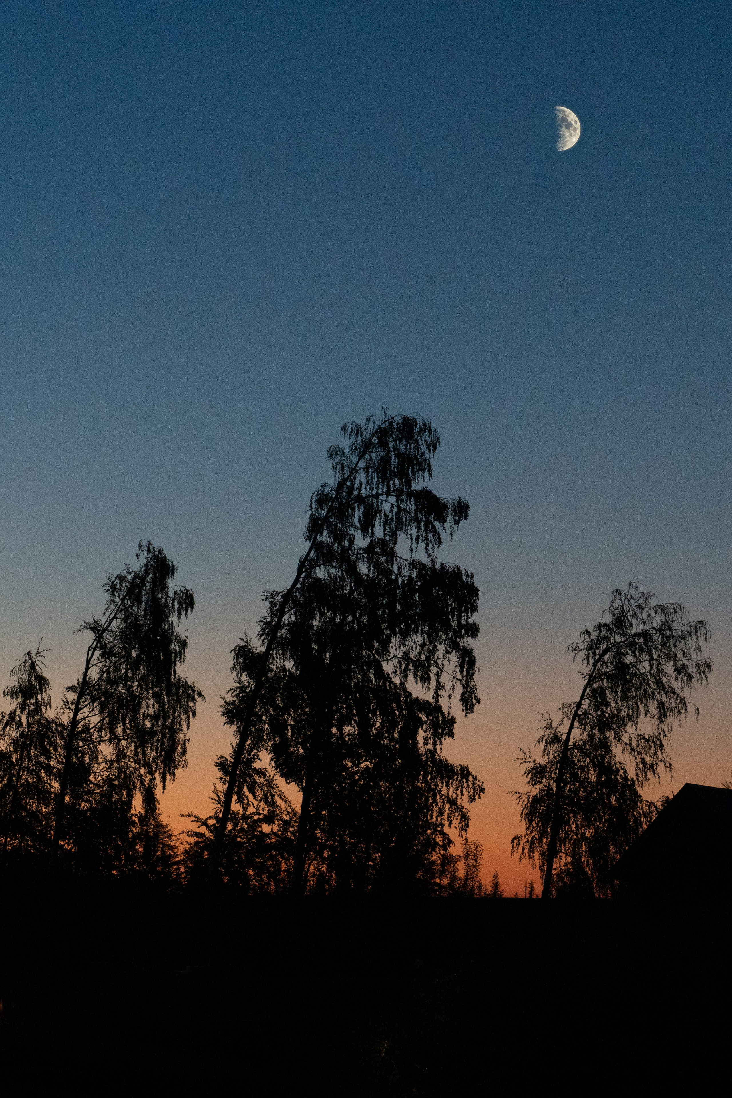 S&I. Свадебный и портретный фотограф Марина Юшина