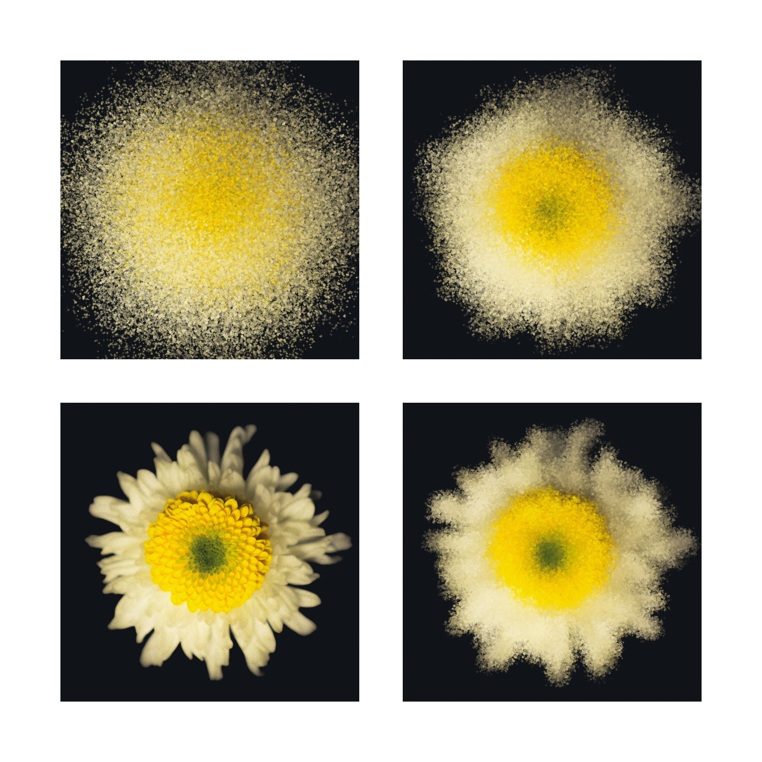 Единство (серия). Мистические фотосессии в Санкт-Петербурге от мистика Ильи Шенгелия