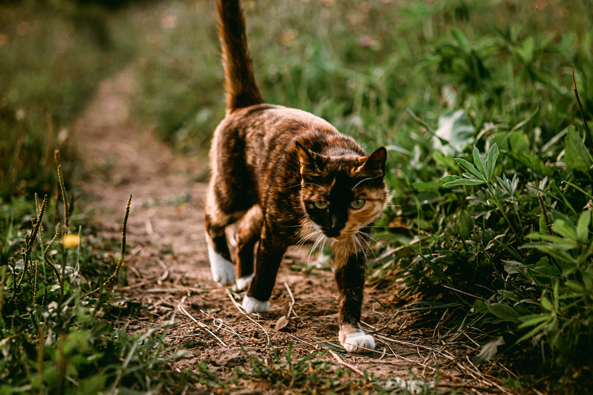 August. Фотограф Александра Кузнецова
