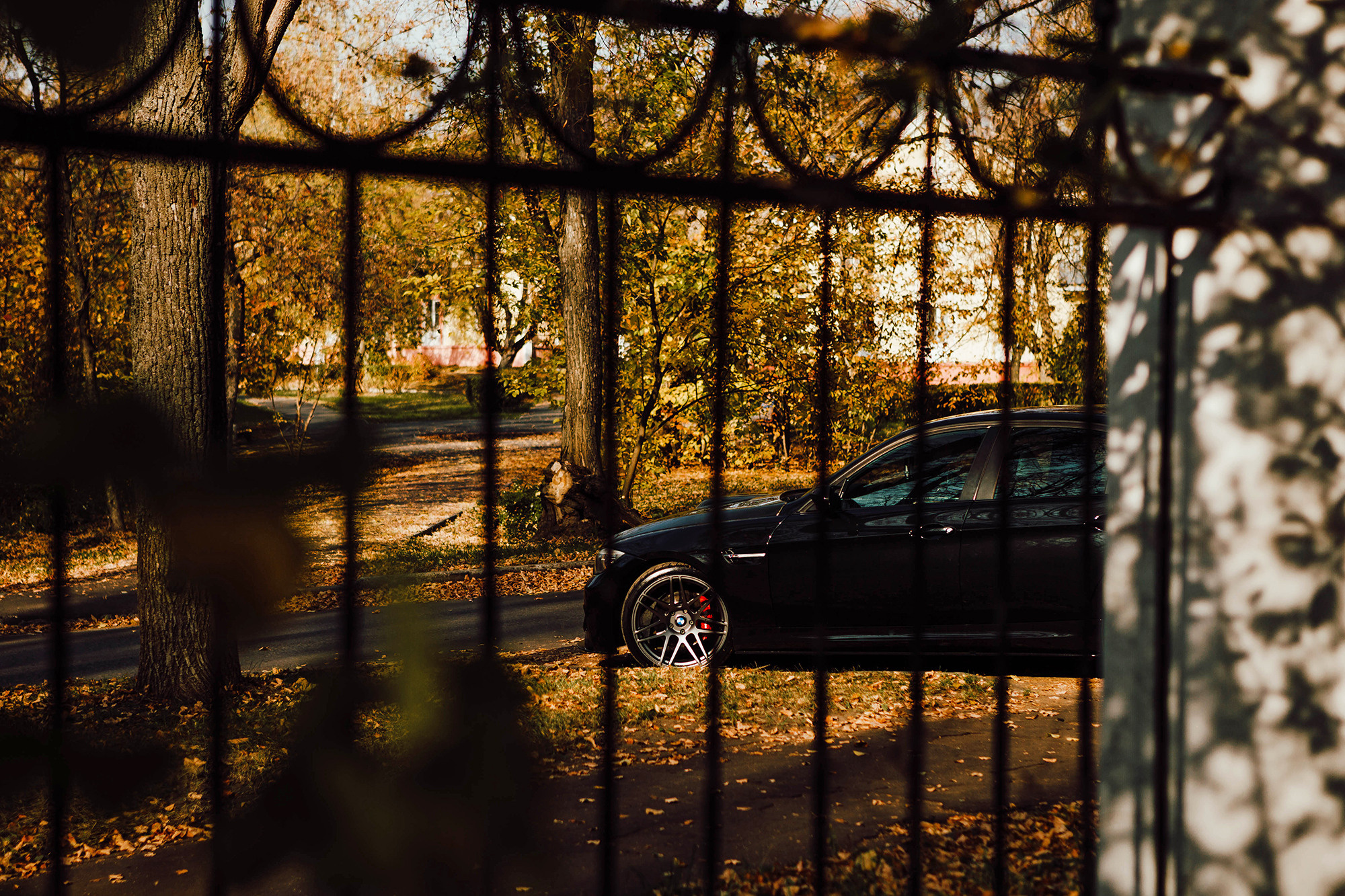 БМВ. Фотограф Александра Кузнецова