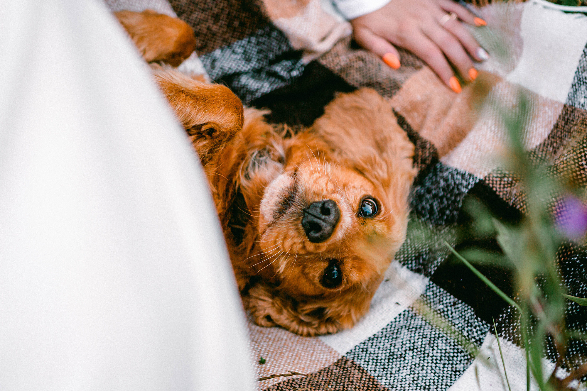 August. Фотограф Александра Кузнецова