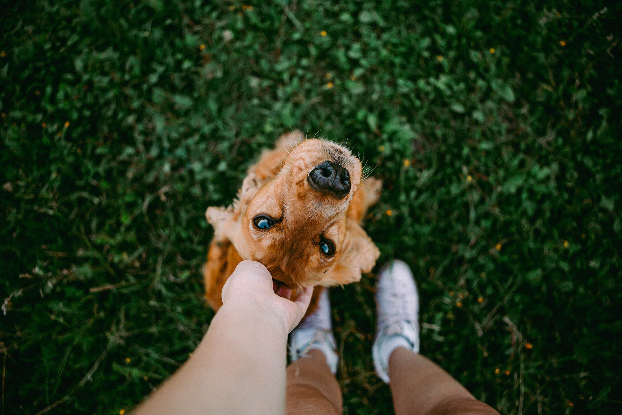 August. Фотограф Александра Кузнецова
