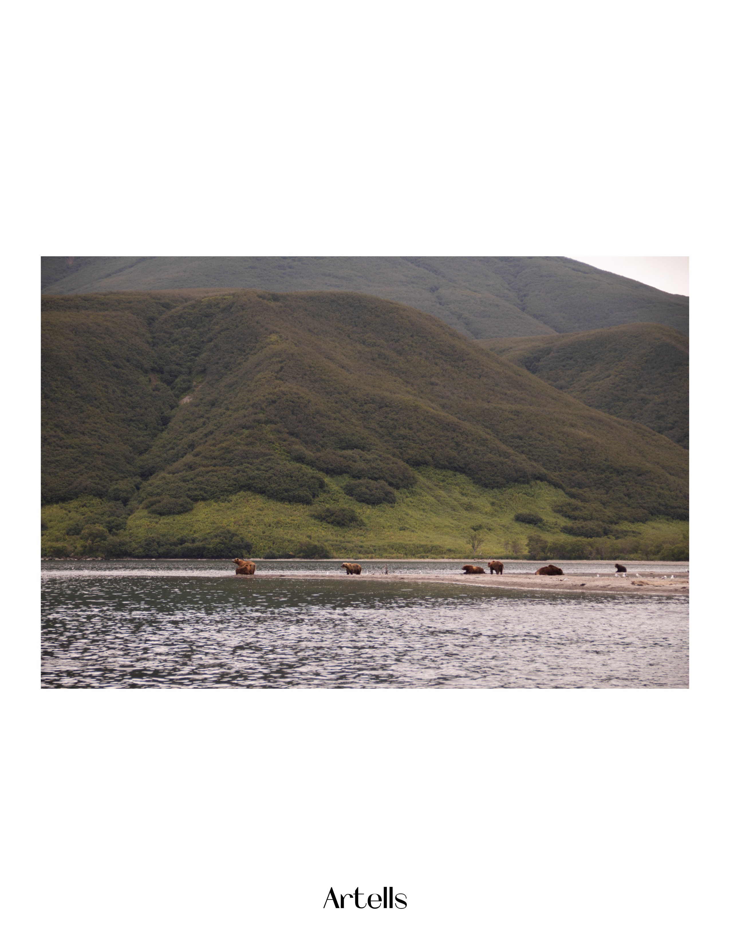 Журнал Artells. Kamchatka peninsula. Наталия Фролова. Фотограф. Москва
