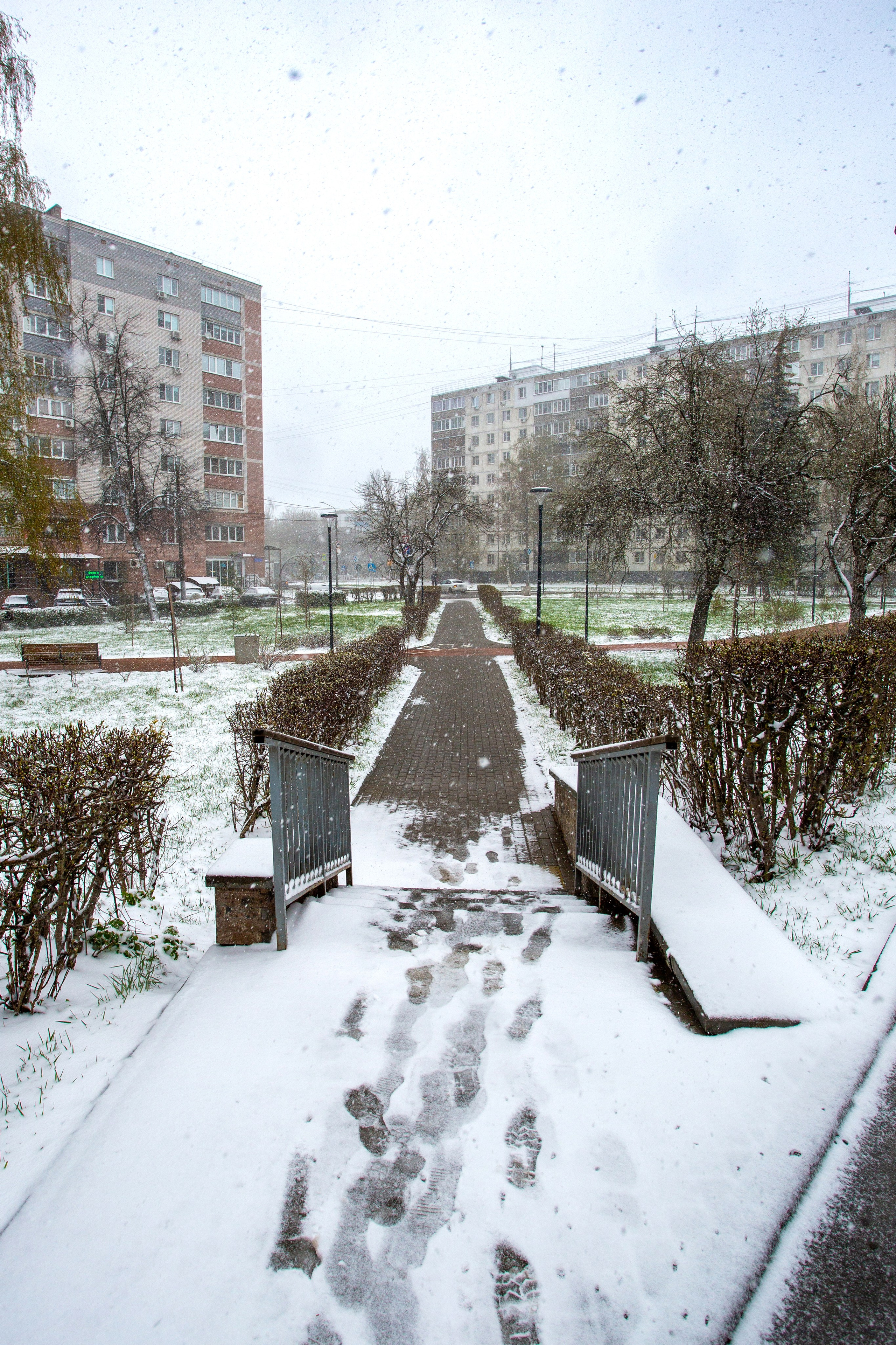 Сормово, уточки 2026
