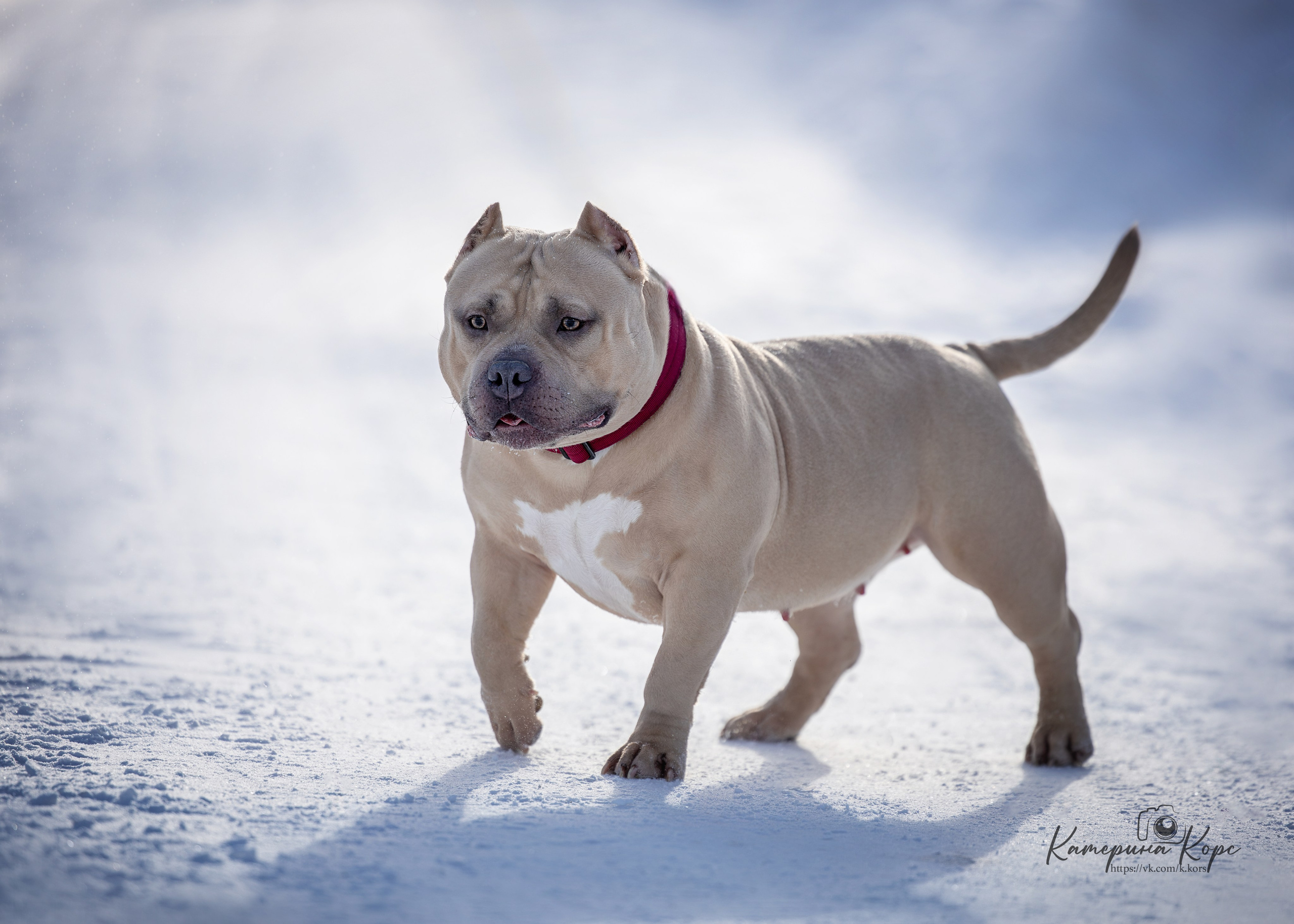 Прогулки. Главная