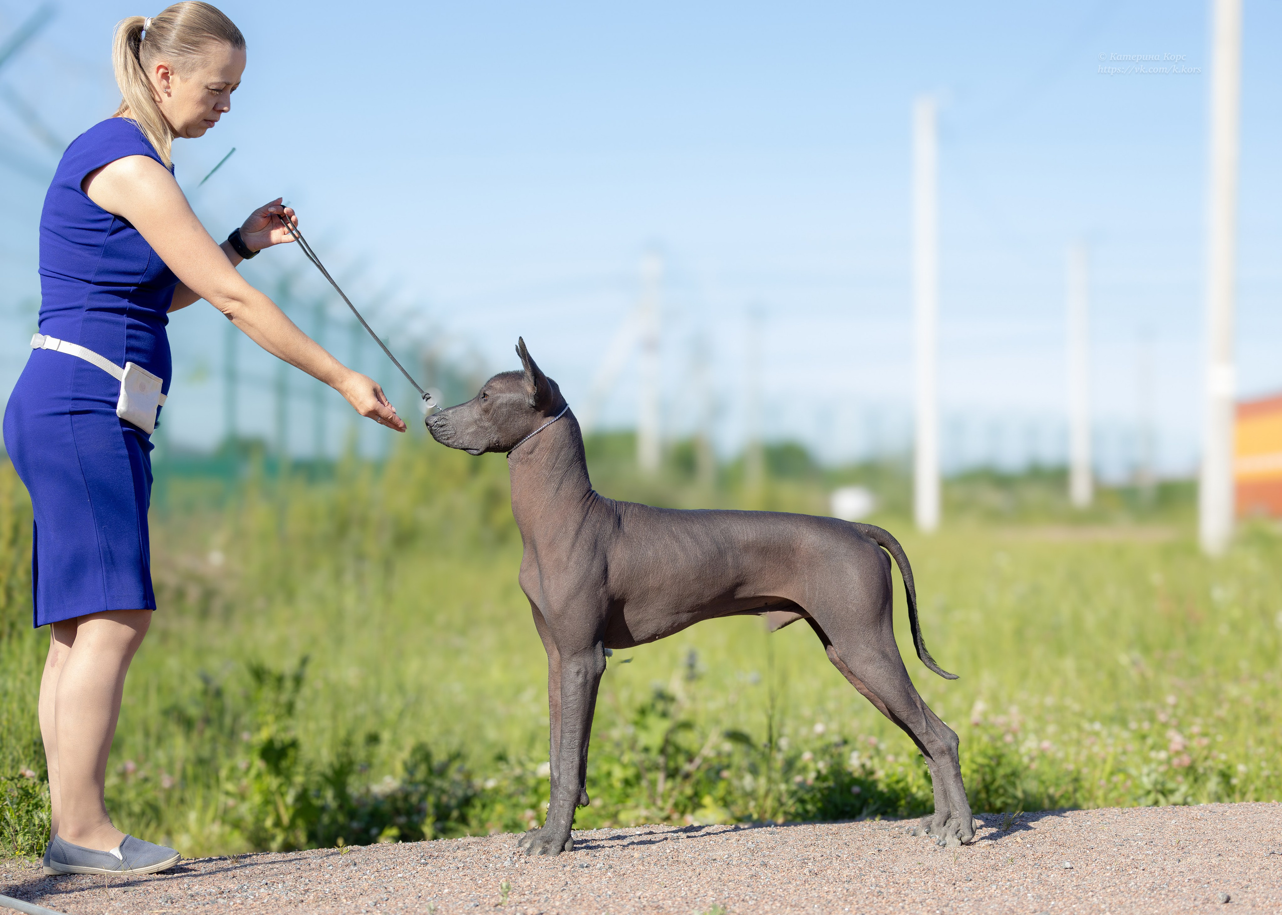 Выставки. Главная