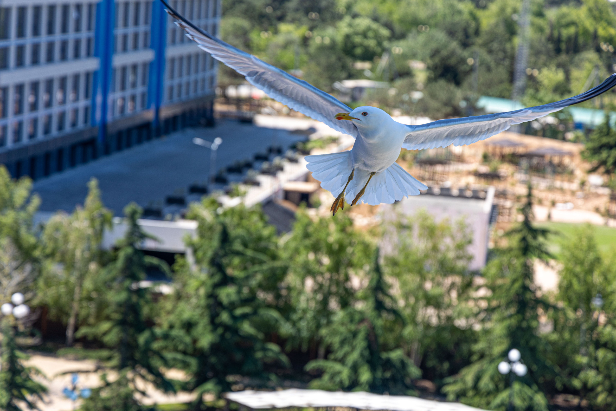 Фотограф Татьяна Марсуверских г. Жуковский, Москва и Мо. Репортажные съёмки, фотосессии,  фотограф анималист, фотосъёмка животных. Фотограф для маркетплейсов, фотоуслуги в Жуковском Татьяна Марсуверских