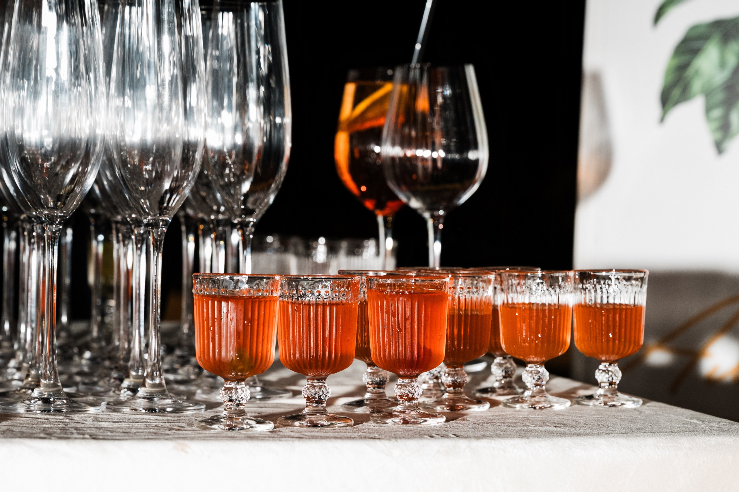 Вечеринка в Санта-Барбаре. Свадебный и семейный фотограф в Краснодаре Марина Стёпа