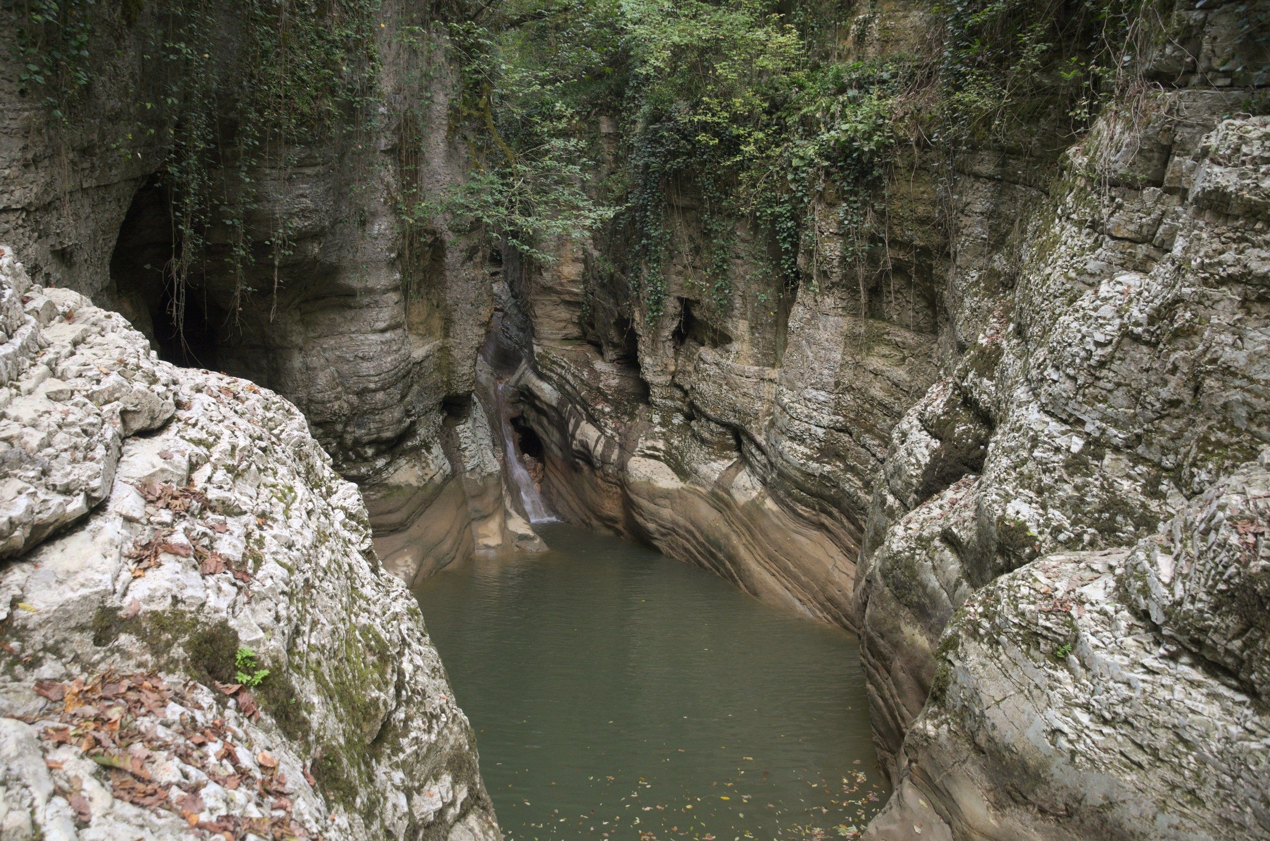 Сочи | 05-06.10.2019. Галерея Фантим