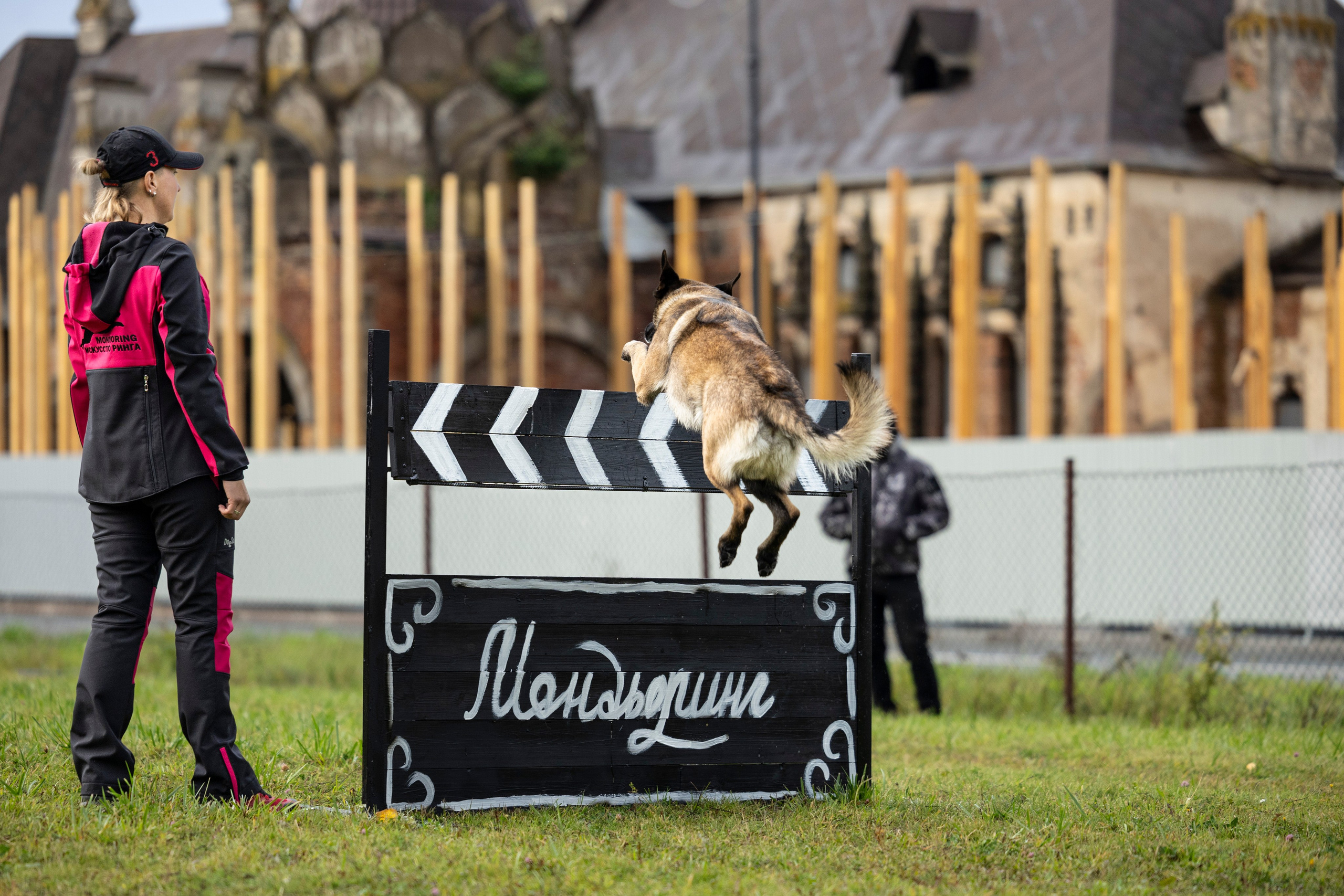 Испытания по Мондьорингу г. Пушкин. Фотограф-анималист Анна Маринич
