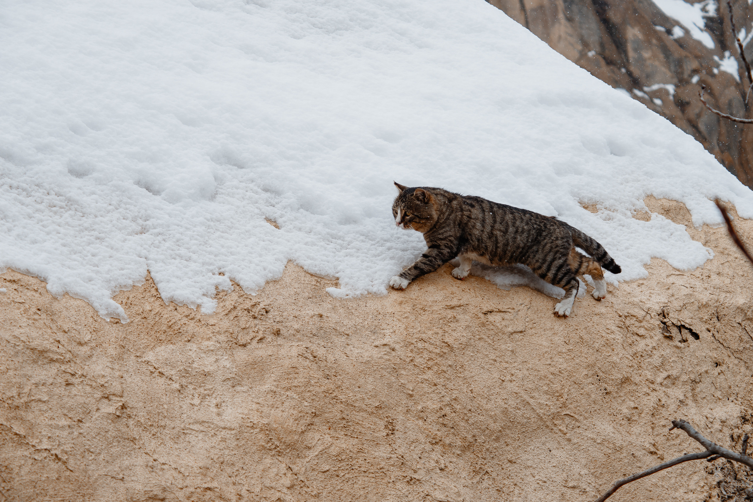 Несколько кадров с обычной нашей поездки в Турцию в феврале 2022 года. Репортажный фотограф в Санкт-Петербурге