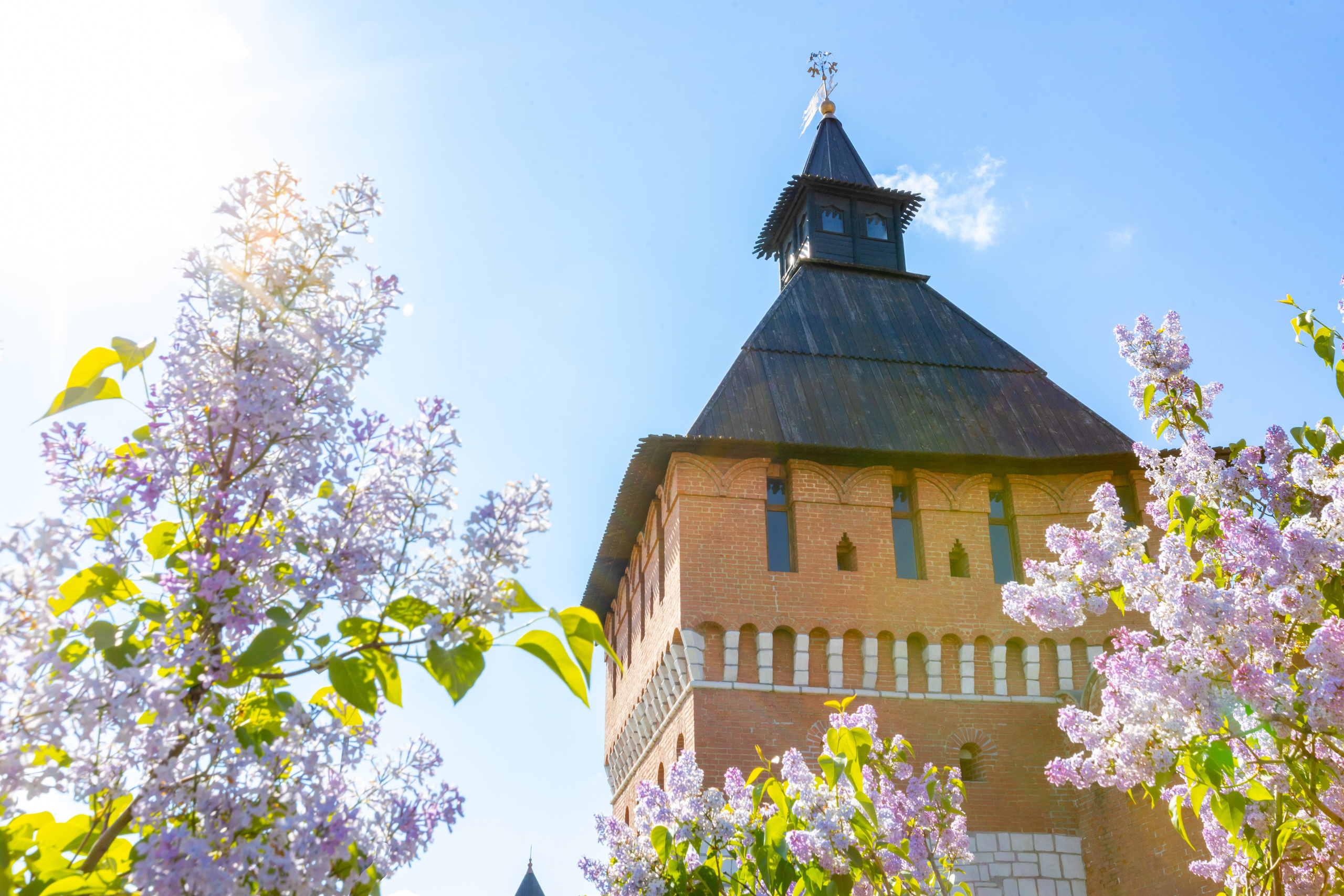 Весеннее цветение в Туле. Фотограф в Туле Крупский АнДРей. Фотостудия «КАДР71» в Туле