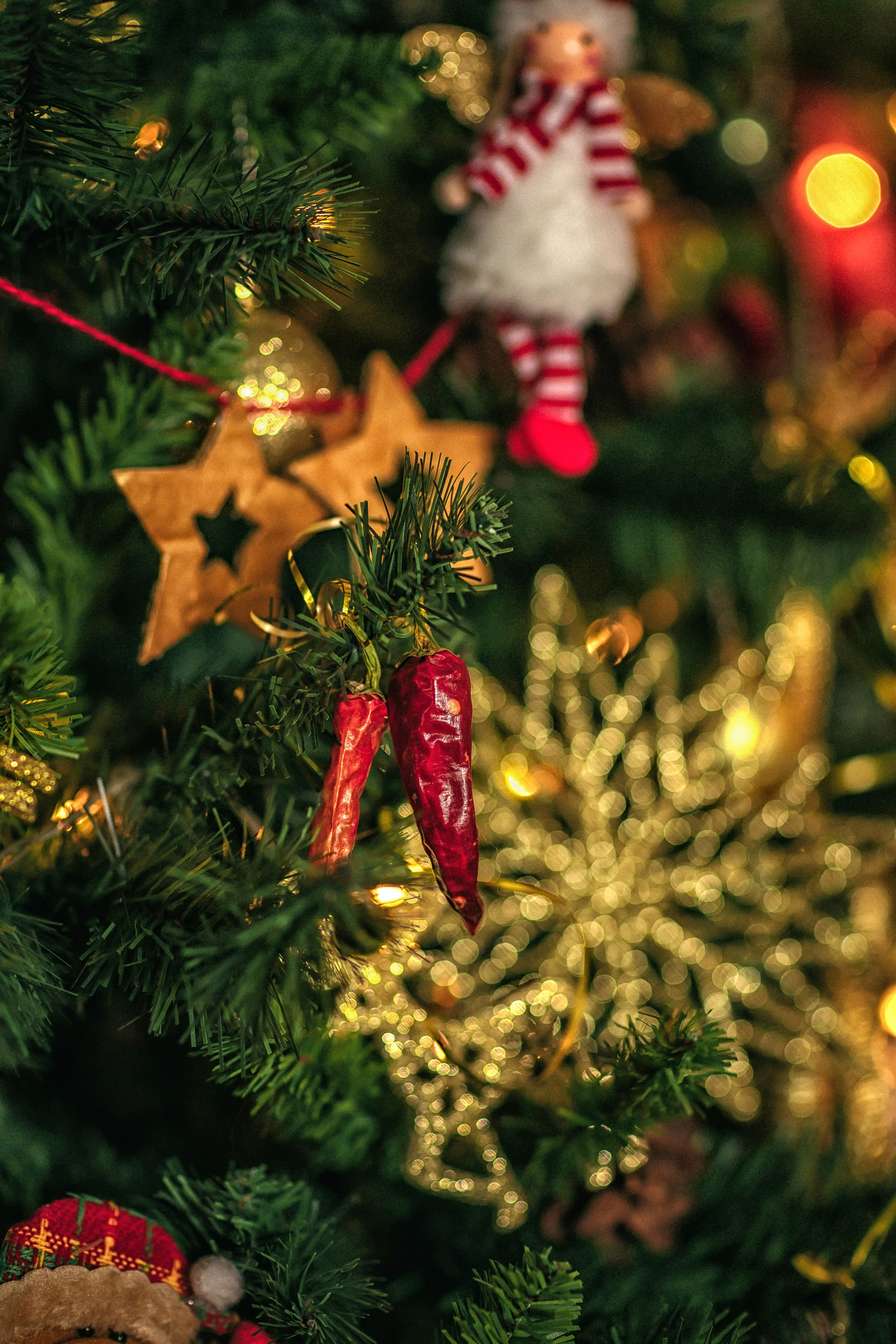 Письмо Деду Морозу. Фотограф в Канске Нина Пуряева
