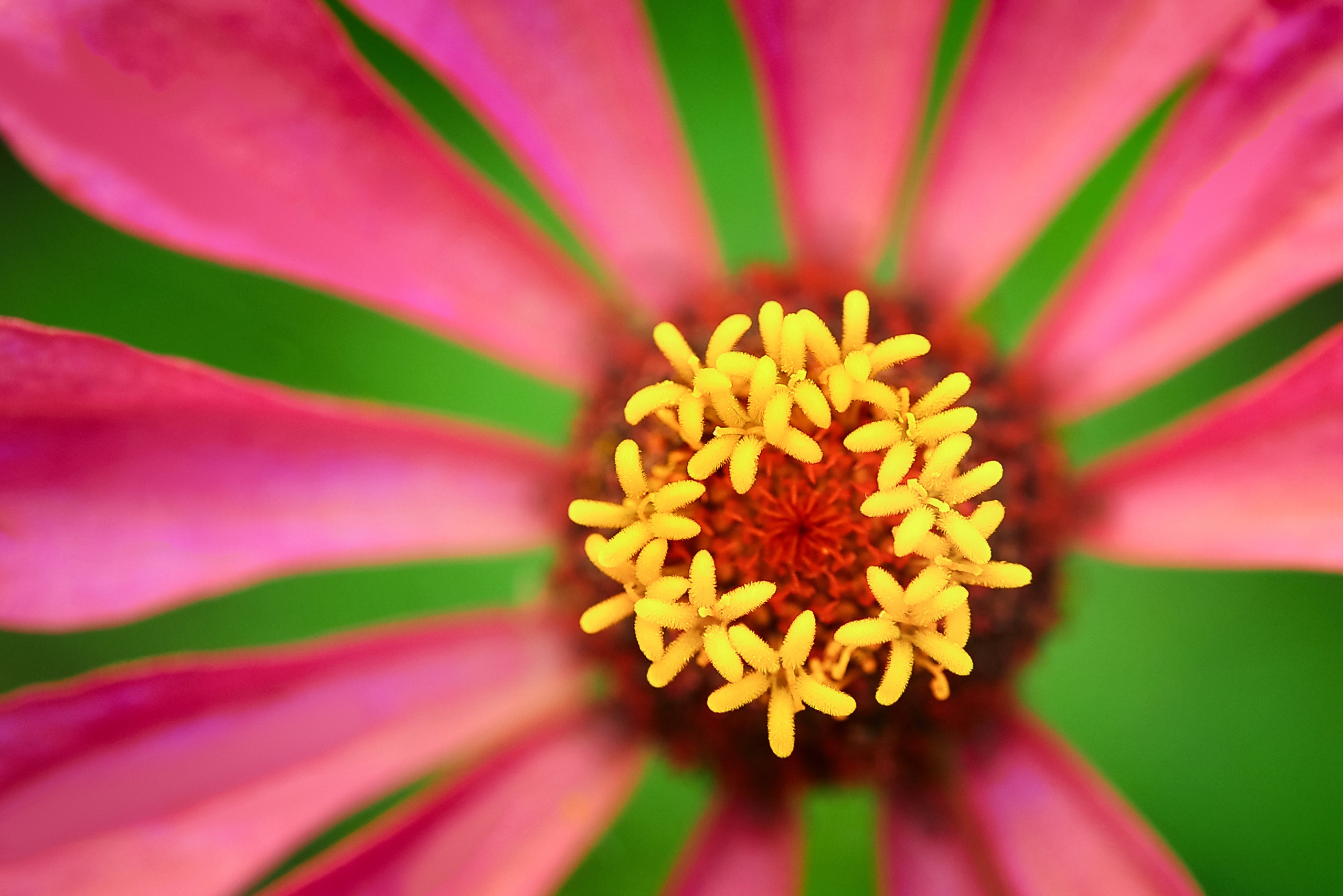 Предметная фотография. FotoGraf