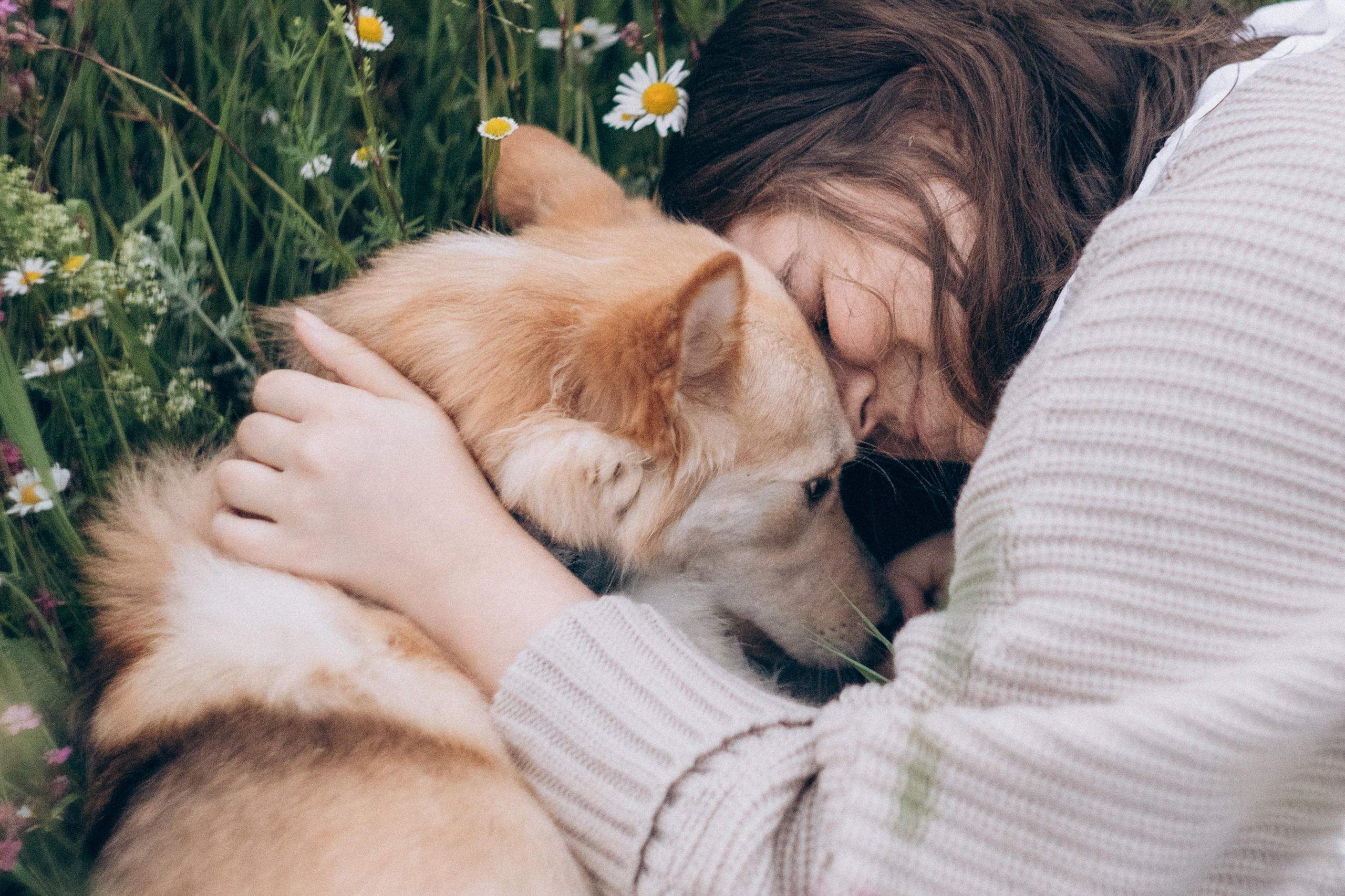 Соня и Кора. Фотограф анималист в Москве и Санкт-Петербурге Свиридова Анна