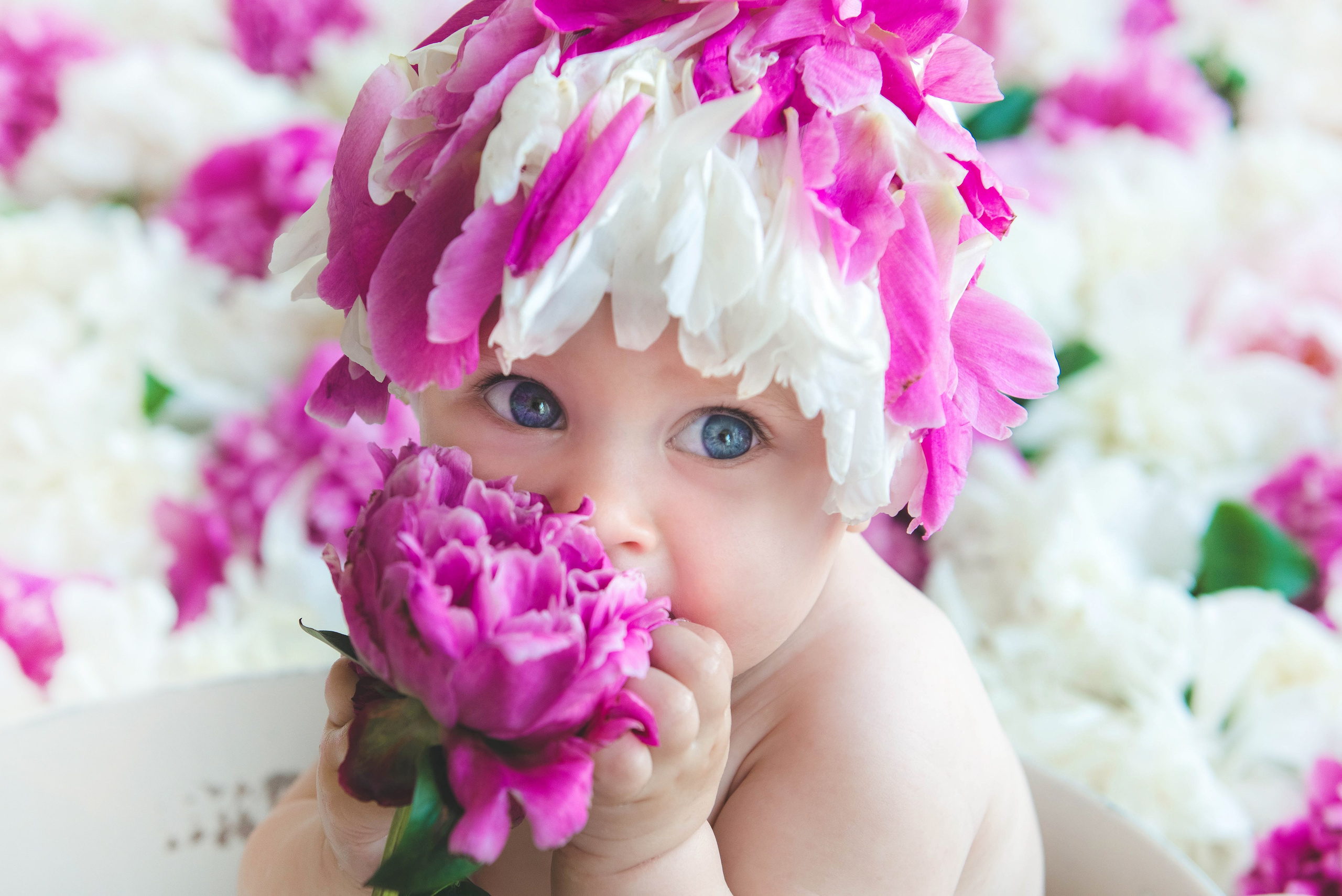 Пиончики. Фотограф новорожденных и детей в Барнауле — Екатерина Шапкина