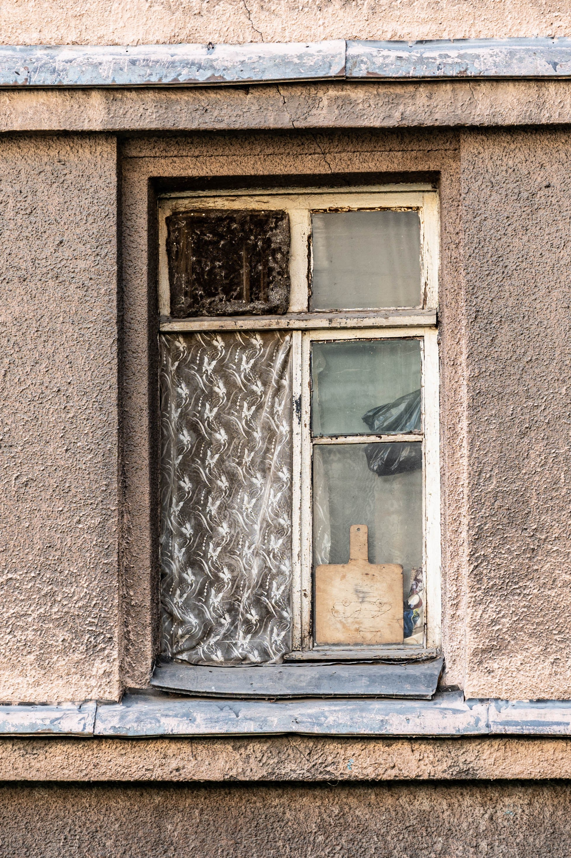 Репортажная фотосъёмка в Петербурге | Портретный фотограф Ольга Берёза. Экскурсовод в Санкт-Петербурге | Ольга Колоскова