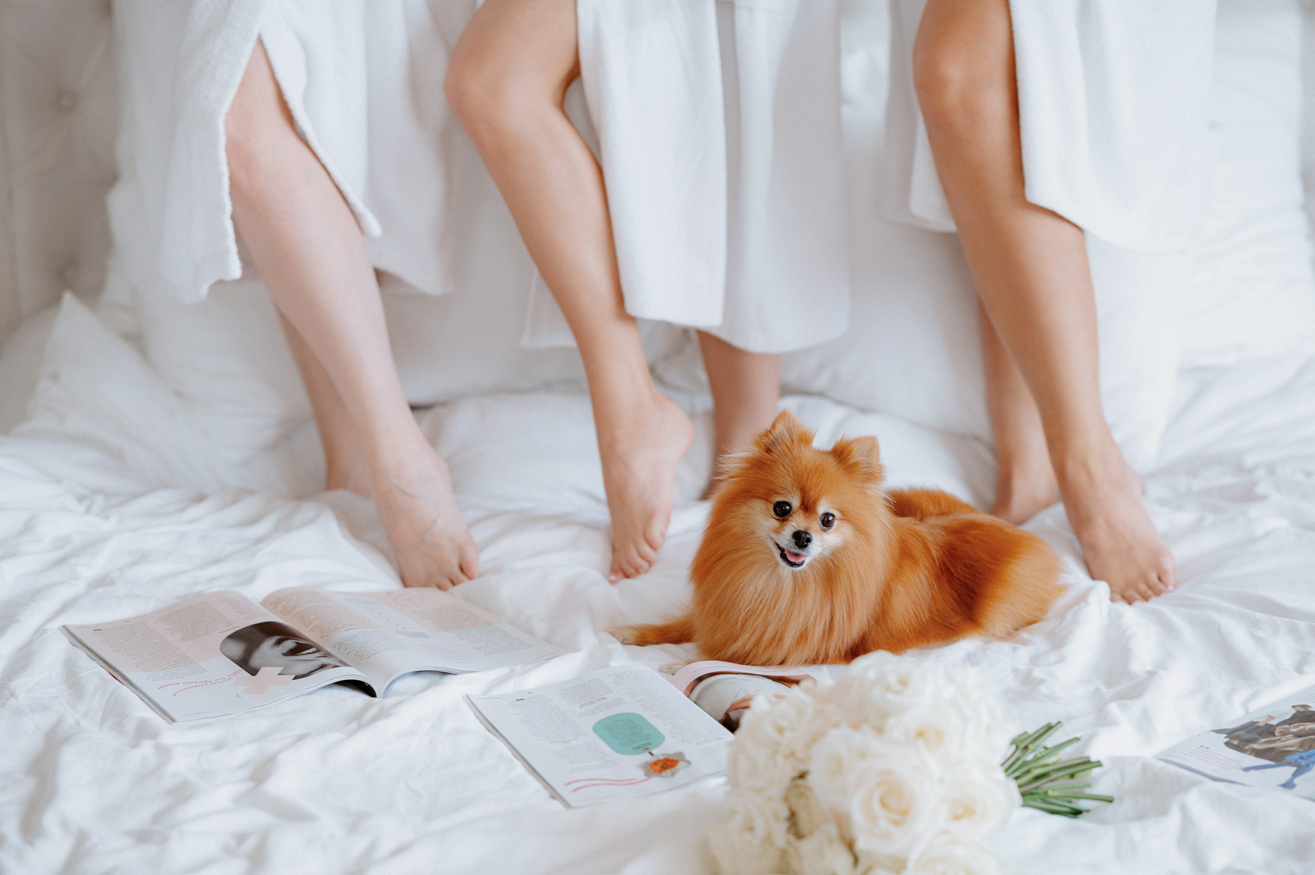 КИРИЛЛ И ЮЛИЯ. Свадебный и семейный фотограф Никита Корохов