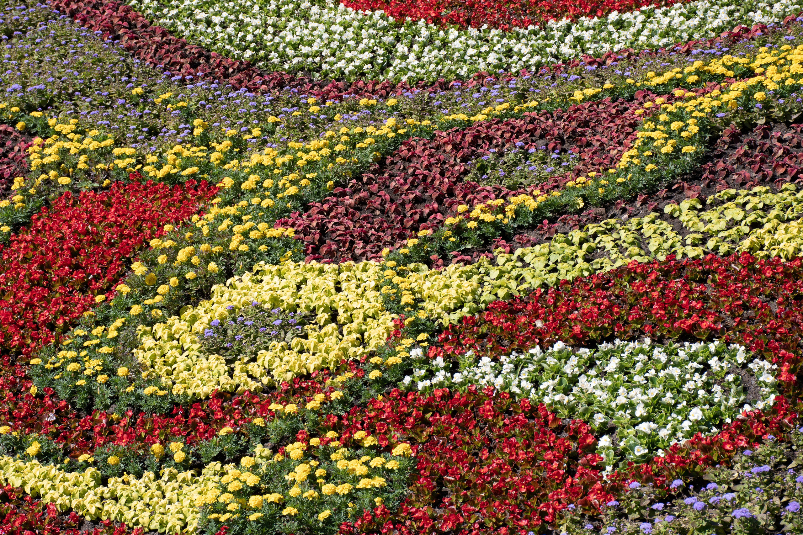 20210525_City. Дмитрий Ремизов. Фотография, как хобби