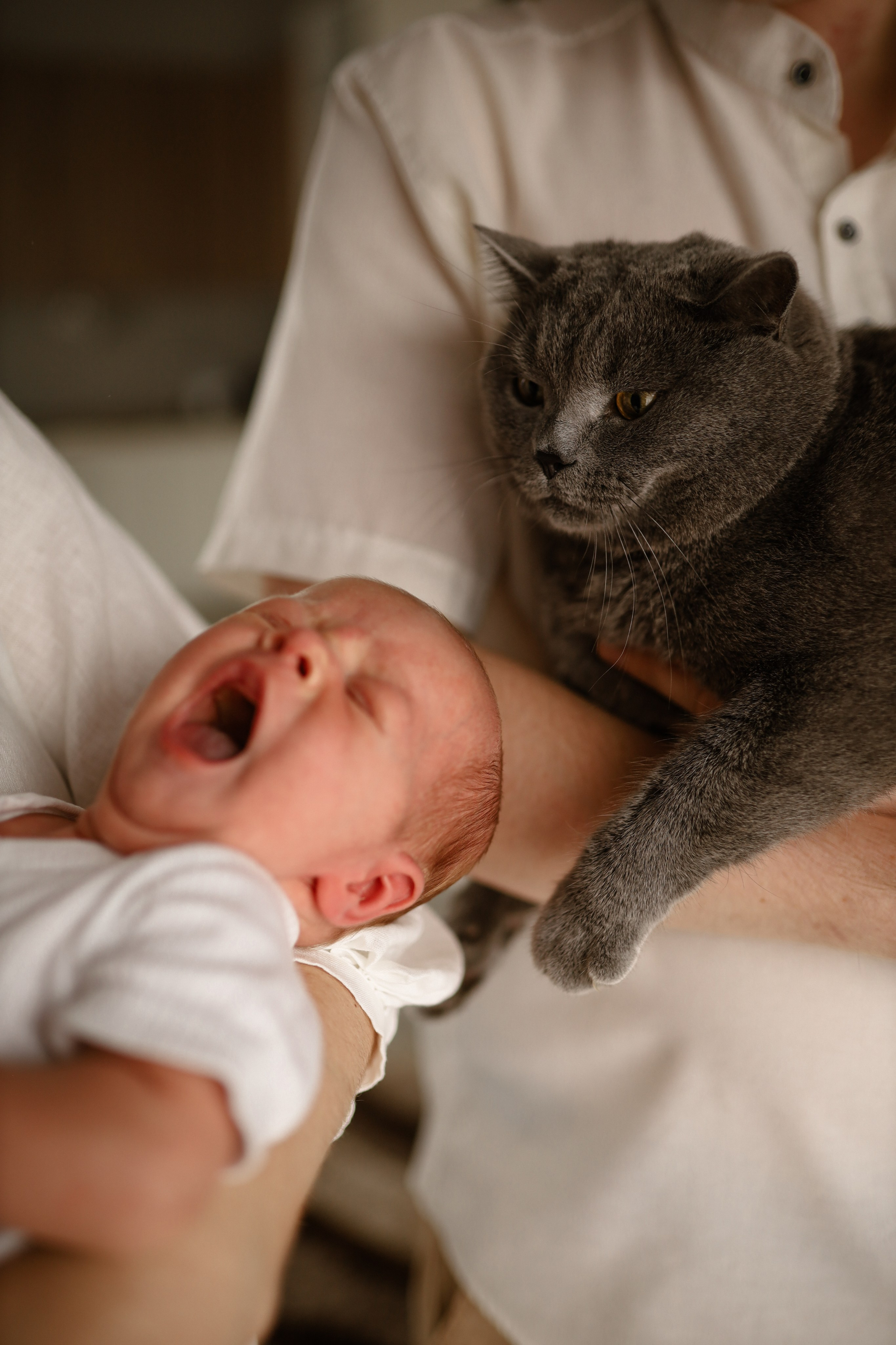 Алена, Илья и Арсений. Инна Вильт| лайфстайл фотограф из Новосибирска