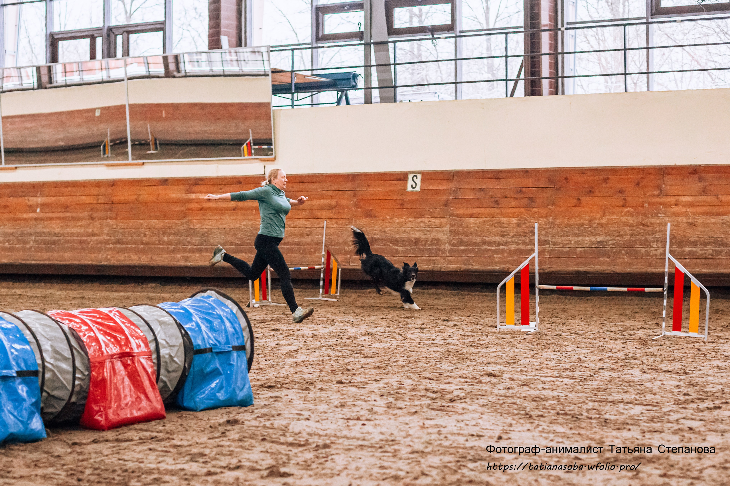 Соревнования по Аджилити 25.02.2024. Фотограф-анималист Татьяна Степанова