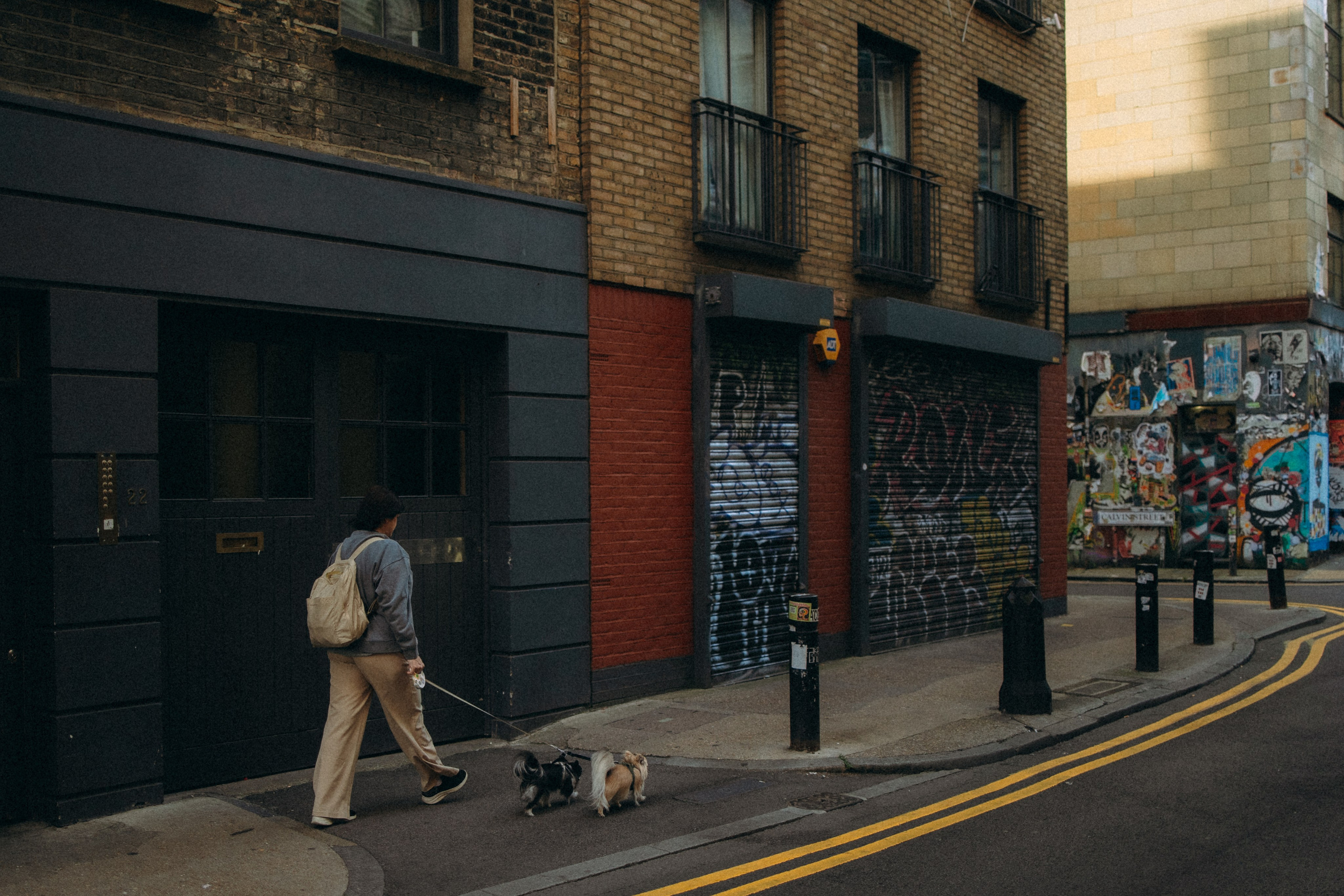 Кристина, Тия и Тедди. Фотораф — анималист Мария Шистка