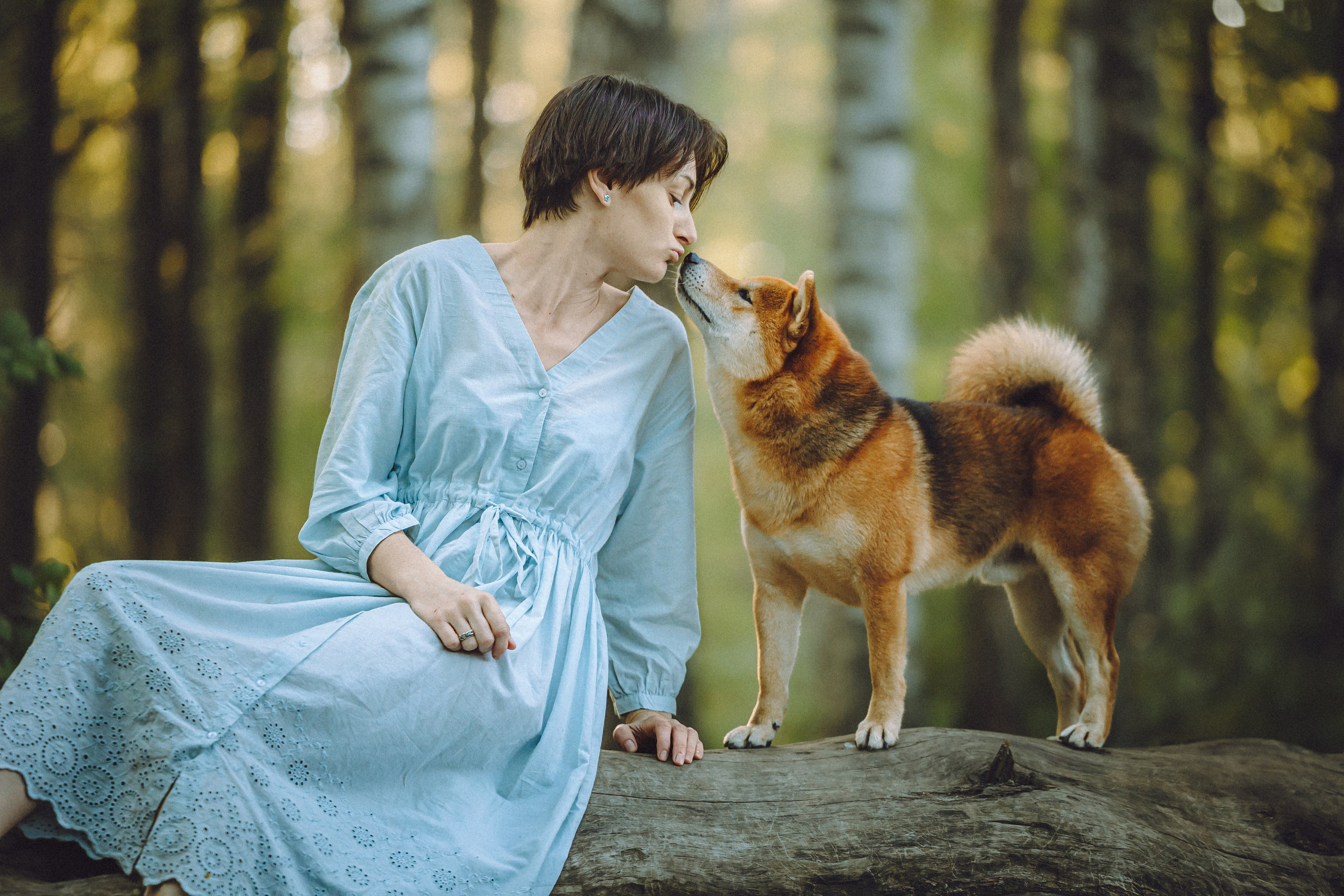 Шед, Цири, Чиби, Цера и их семья