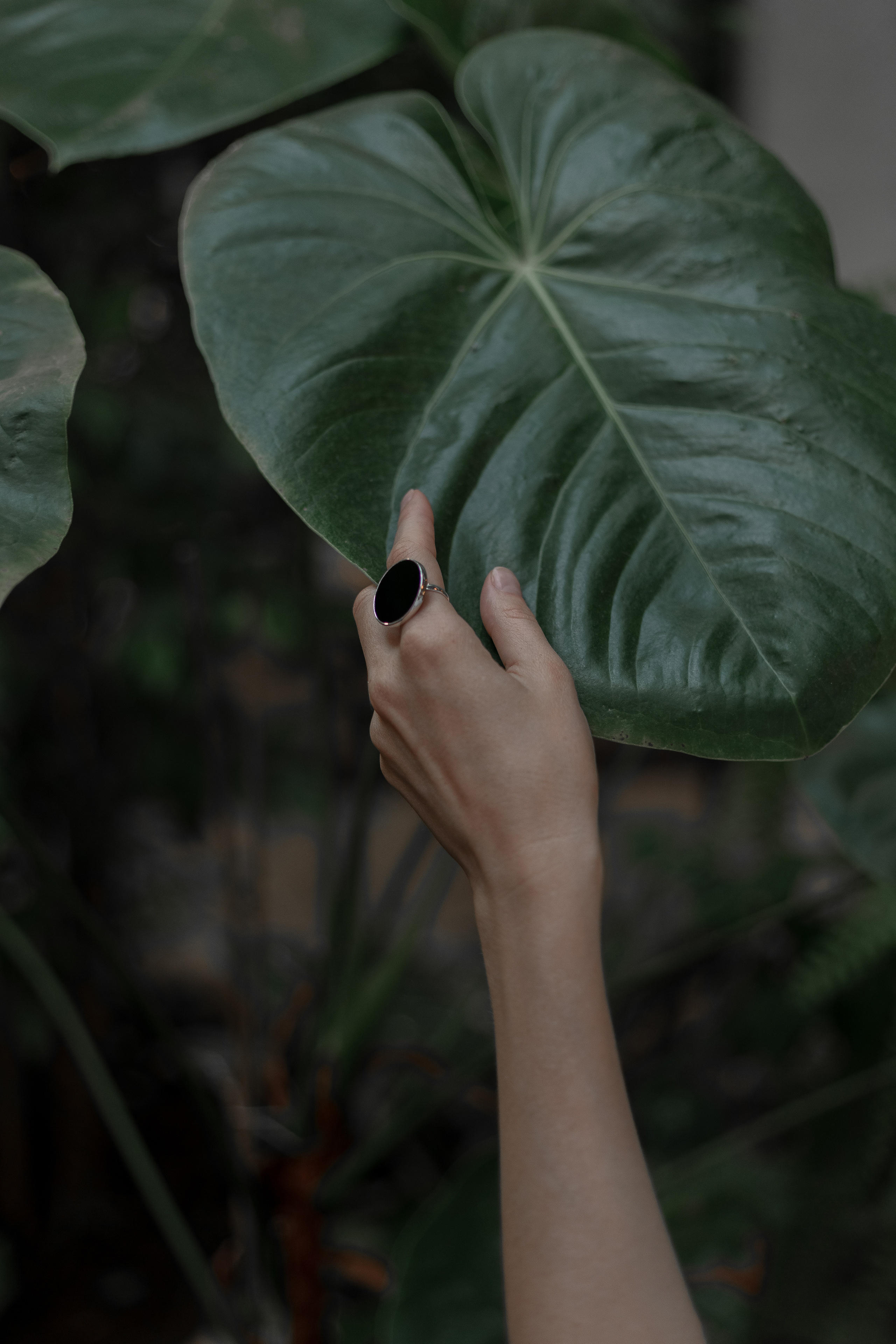 Стилист. Фотограф в Санкт-Петербурге