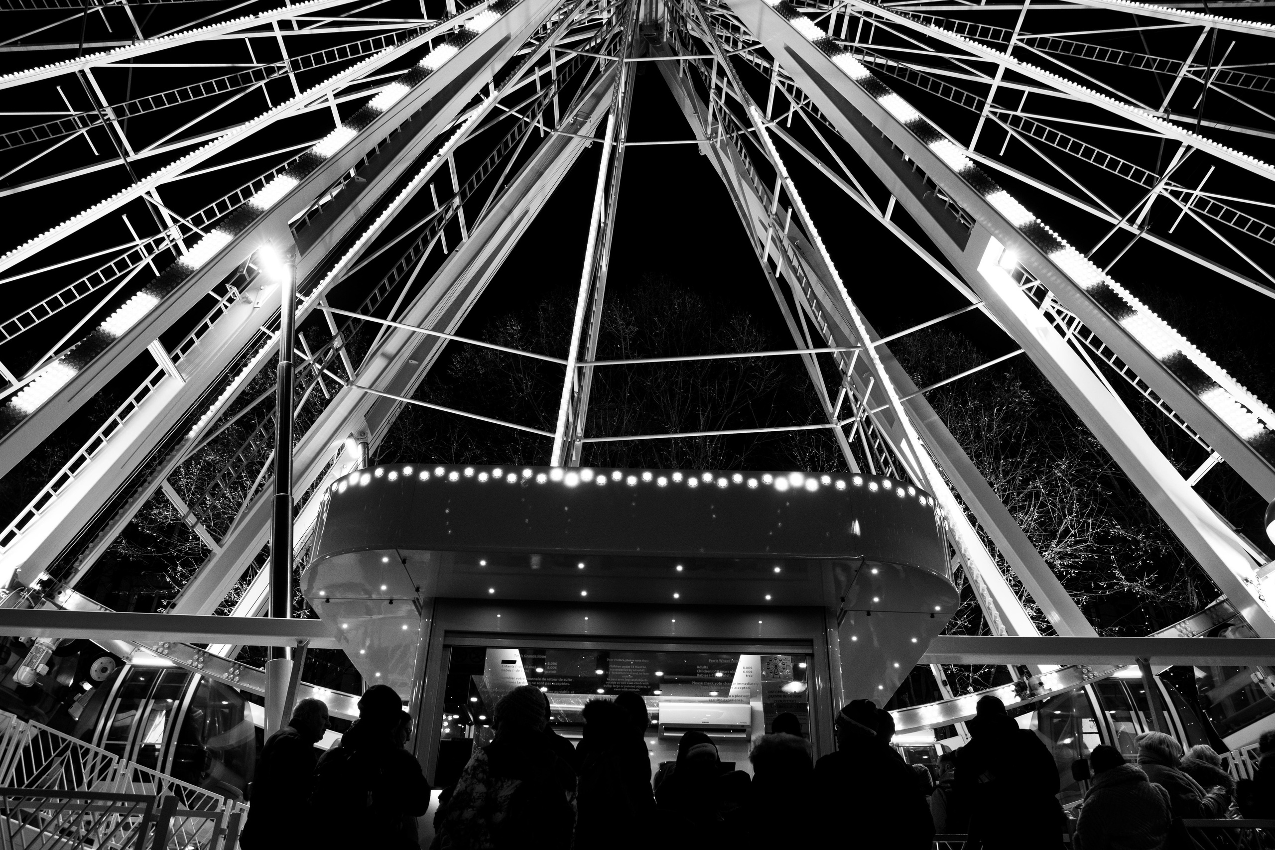 Champagne 2025. Фотограф в Крыму Алевтина Швец