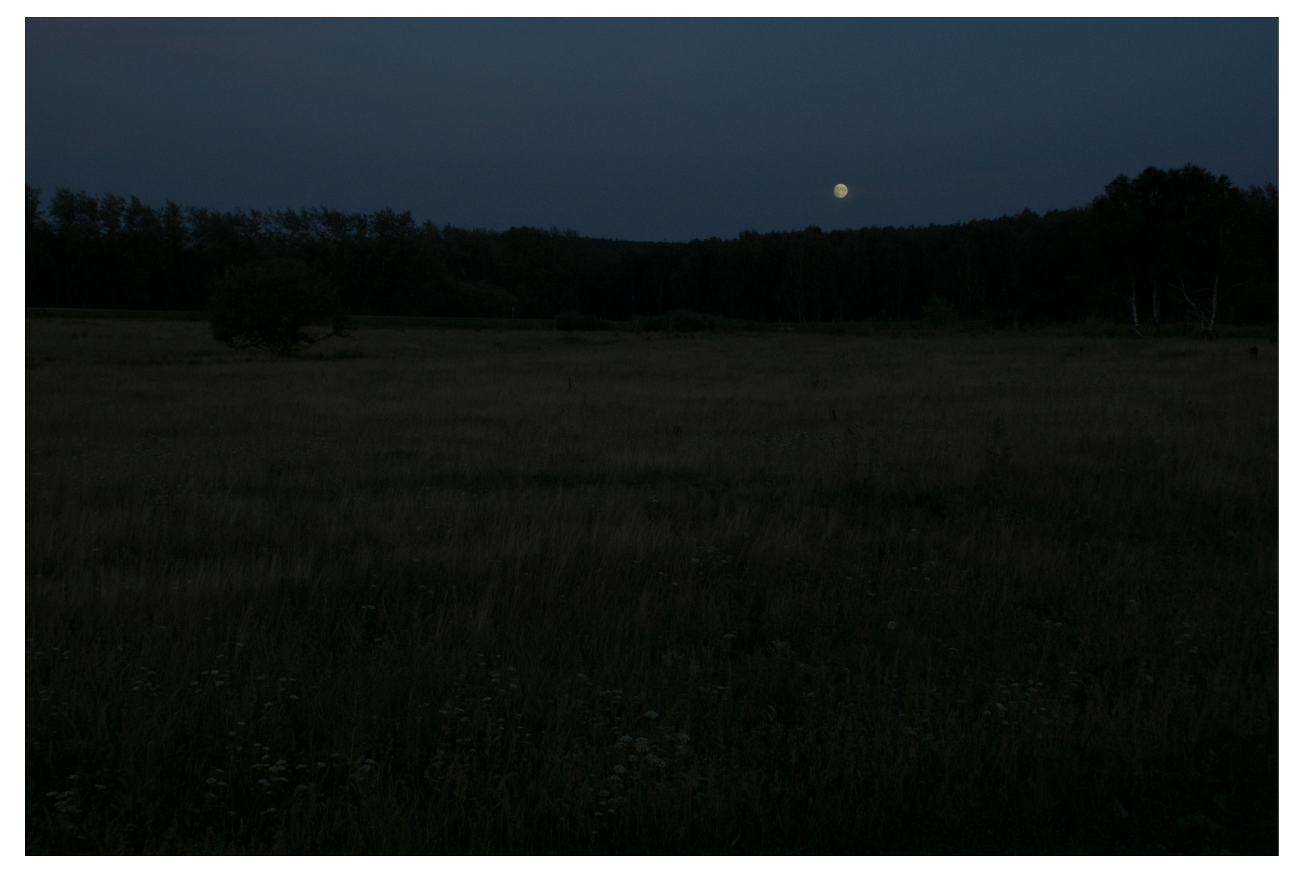 MIASS. Photographer Manakova Olga